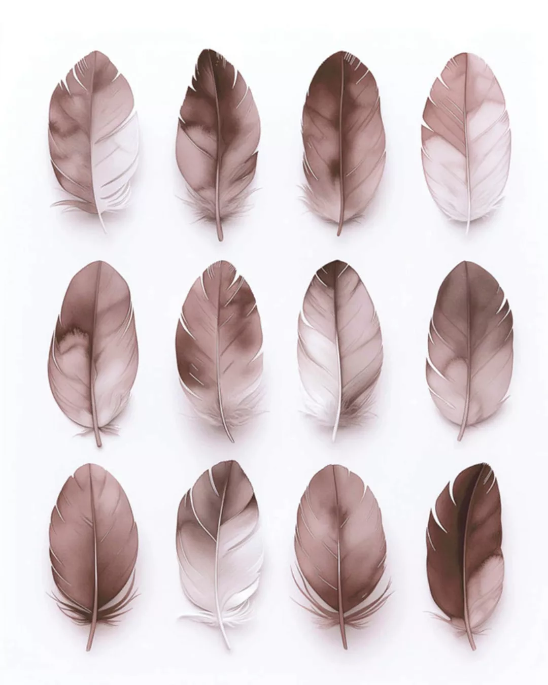 A.S. Création Leinwandbild "Feathers Mauve - Wandbild Rosa Grau Weiß Keilra günstig online kaufen