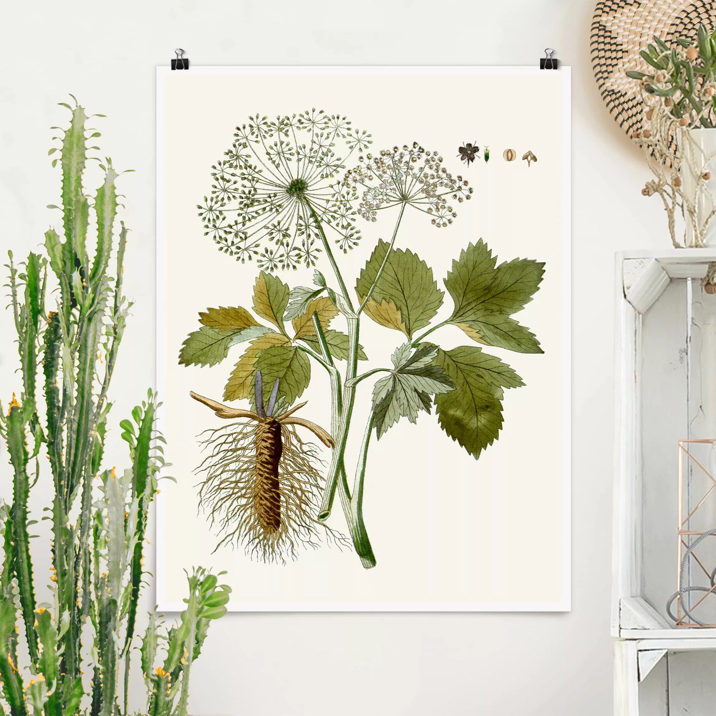 Poster Blumen - Hochformat Wildkräuter Schautfalel IV günstig online kaufen