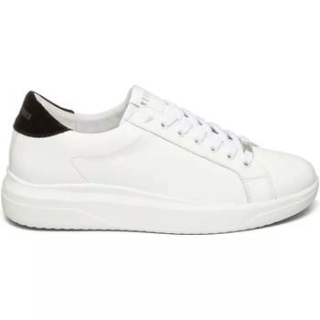 Steve Madden  Sneaker Baskets  Alex günstig online kaufen