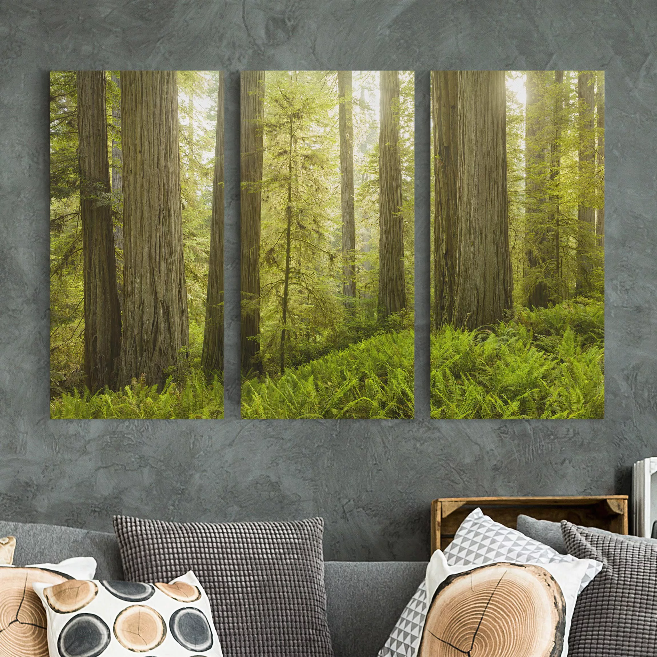 3-teiliges Leinwandbild Wald - Querformat Redwood State Park Waldblick günstig online kaufen