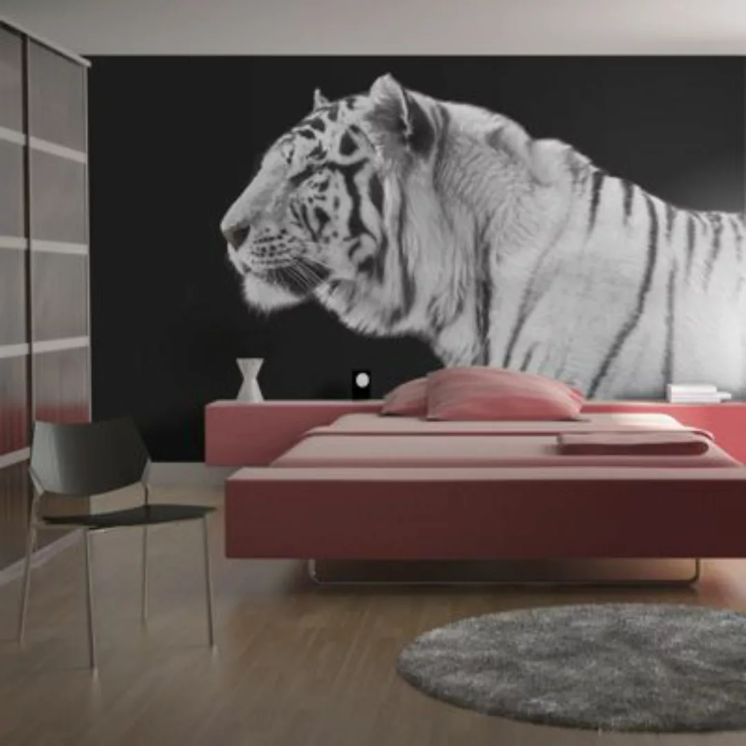 artgeist Fototapete Weißer Tiger schwarz/weiß Gr. 300 x 231 günstig online kaufen