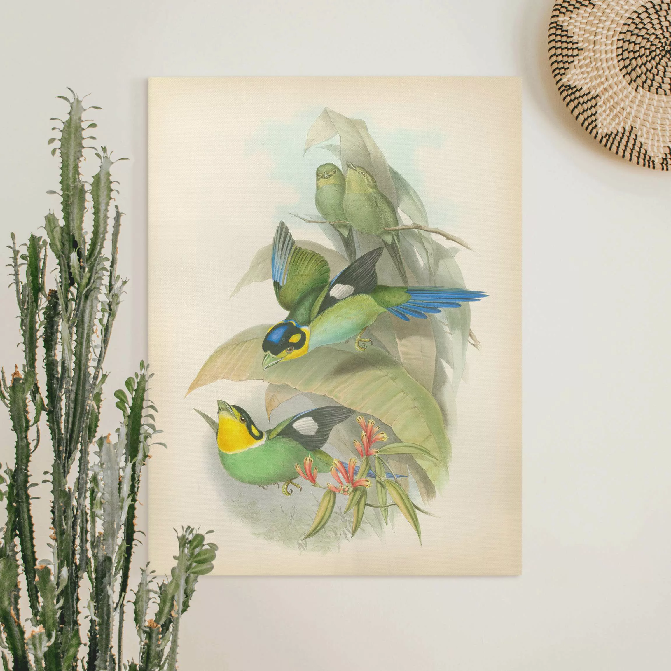 Leinwandbild Vintage Illustration Tropische Vögel günstig online kaufen
