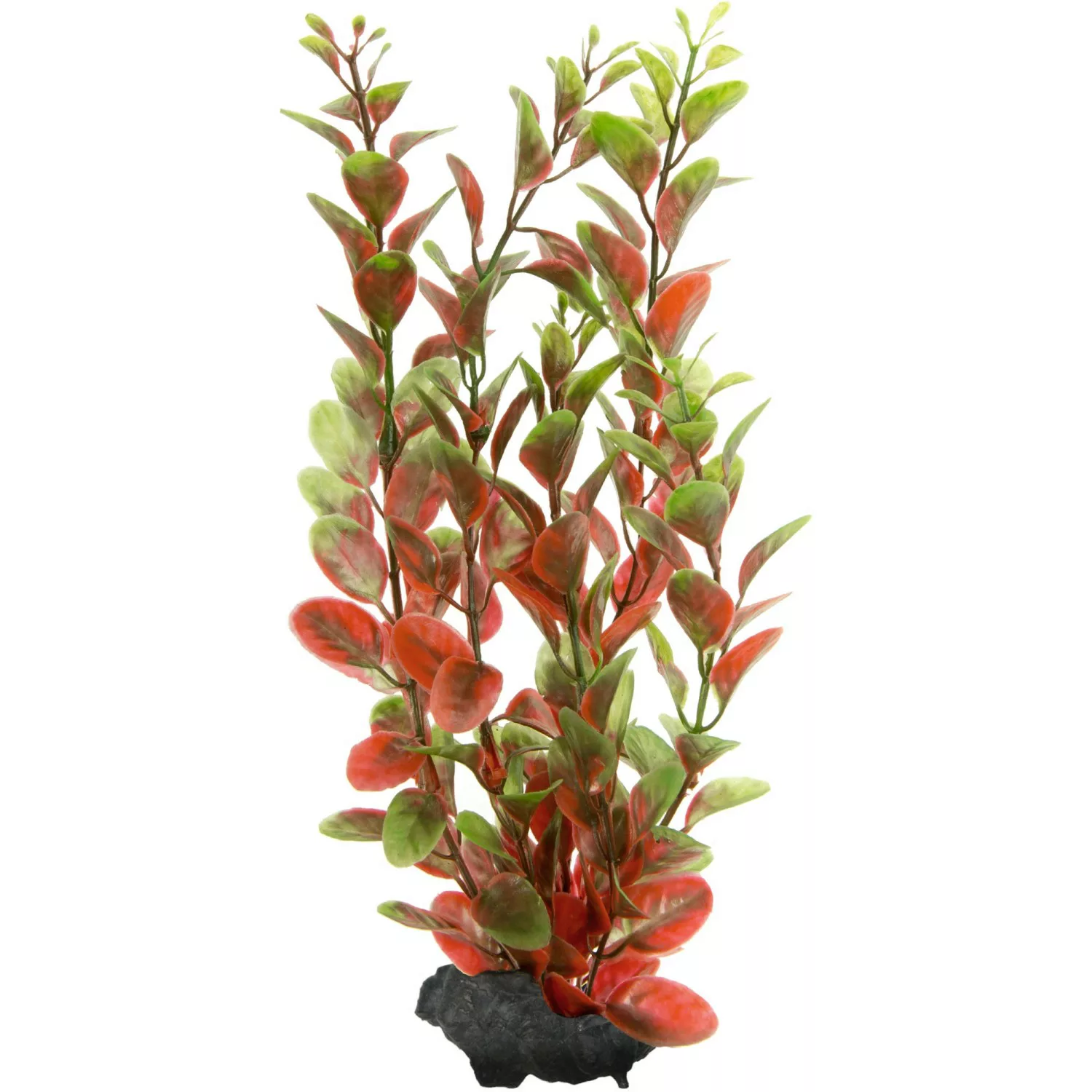 Tetra Kunstpflanze DecoArt Plant M Red Ludwigia günstig online kaufen