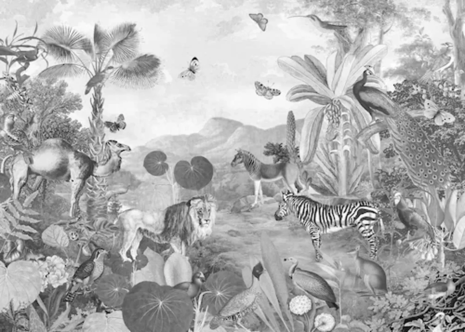 KOMAR Vlies Fototapete - Flora and Fauna  - Größe 350 x 250 cm mehrfarbig günstig online kaufen