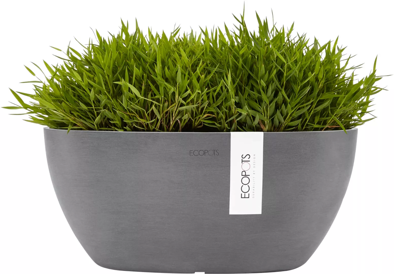 Ecopots Pflanzschale Sofia 30 cm x 13 cm Oval Grau günstig online kaufen