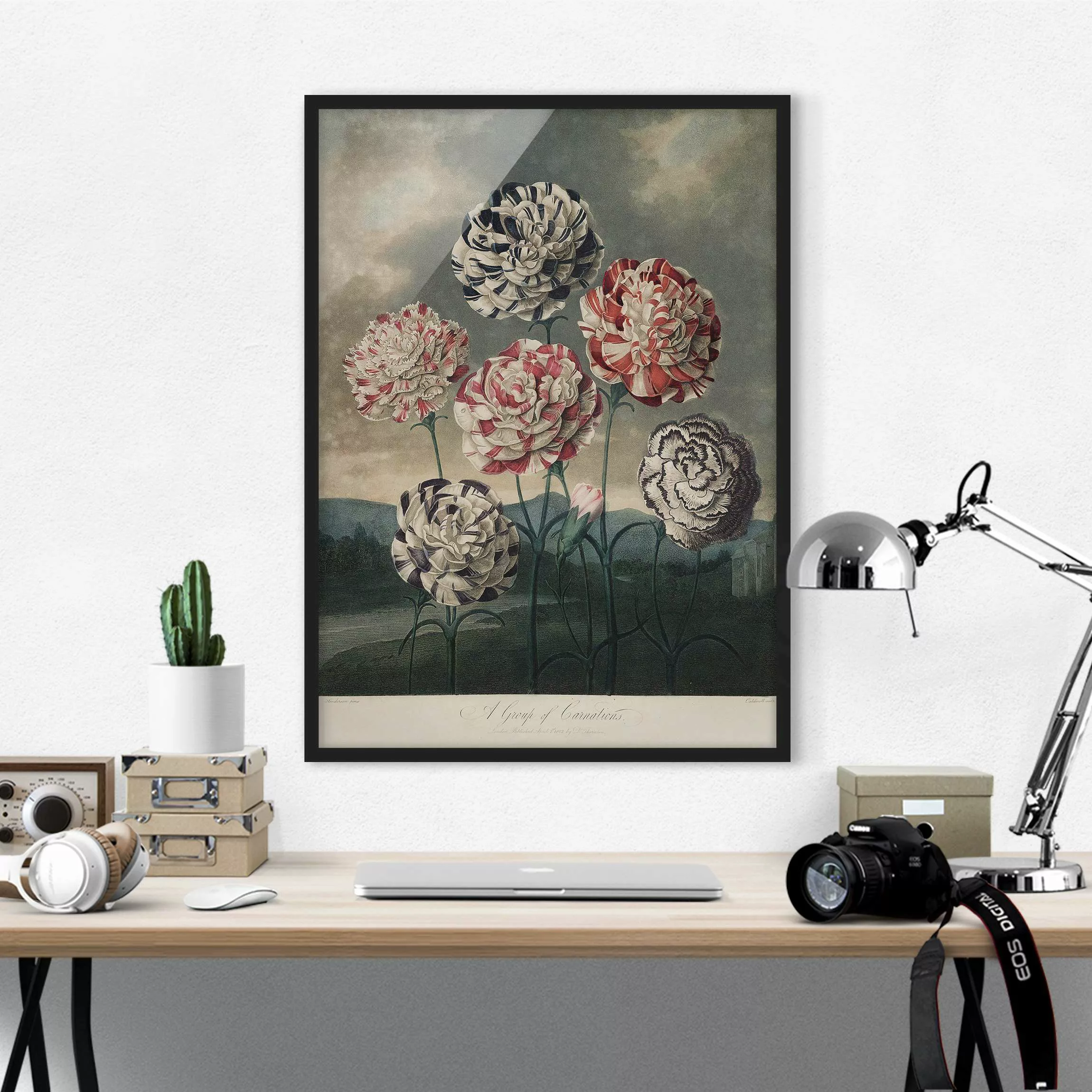 Bild mit Rahmen Blumen - Hochformat Botanik Vintage Illustration Blaue und günstig online kaufen