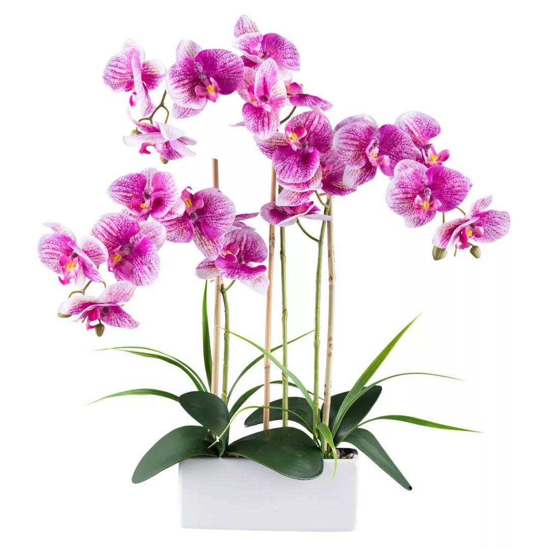 Kunstpflanze Phalaenopsis weiß Kunststoff B/H/L: ca. 27x50x27 cm günstig online kaufen