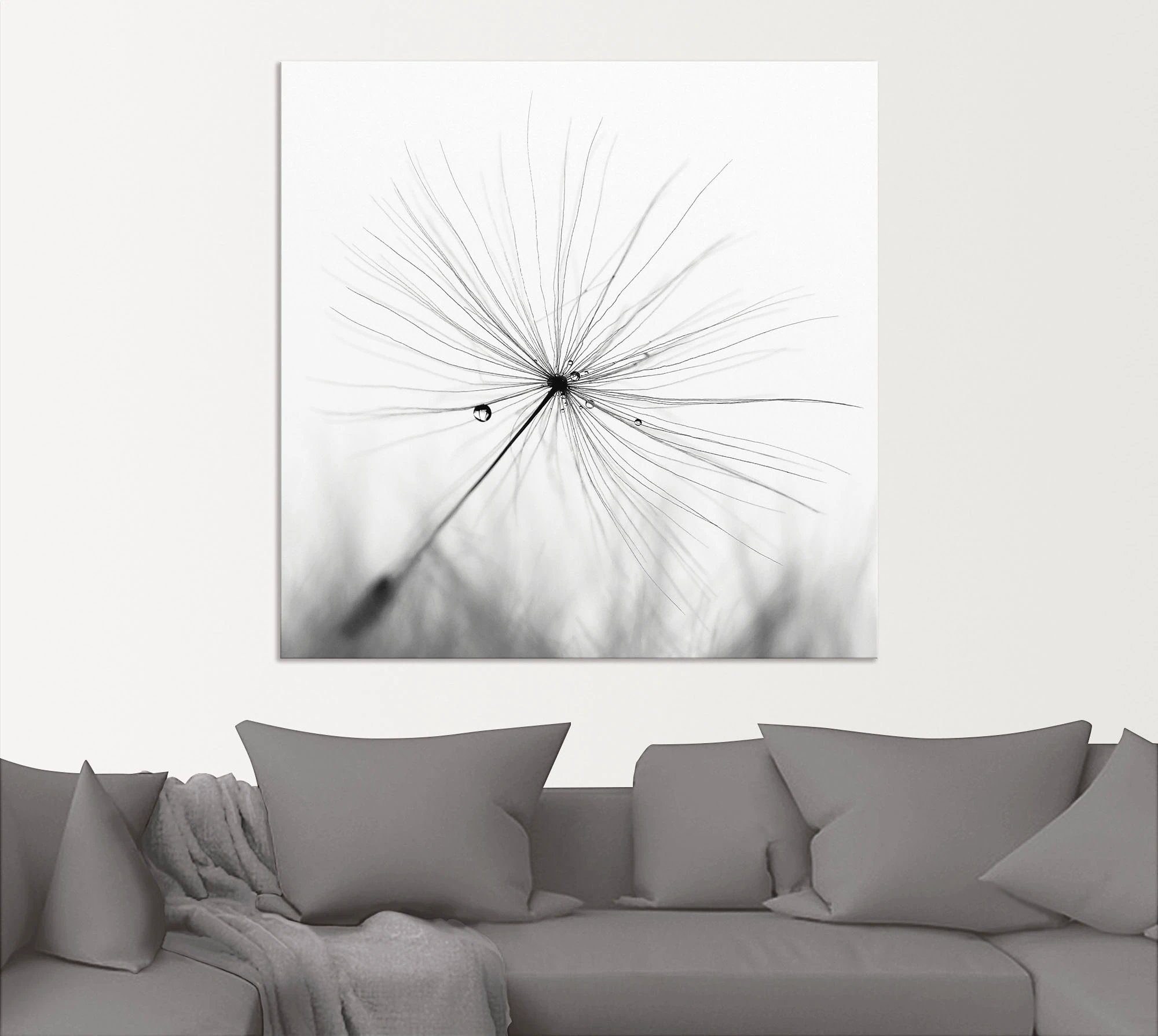 Artland Wandbild »Pusteblume Schirmchen«, Blumen, (1 St.), als Alubild, Out günstig online kaufen