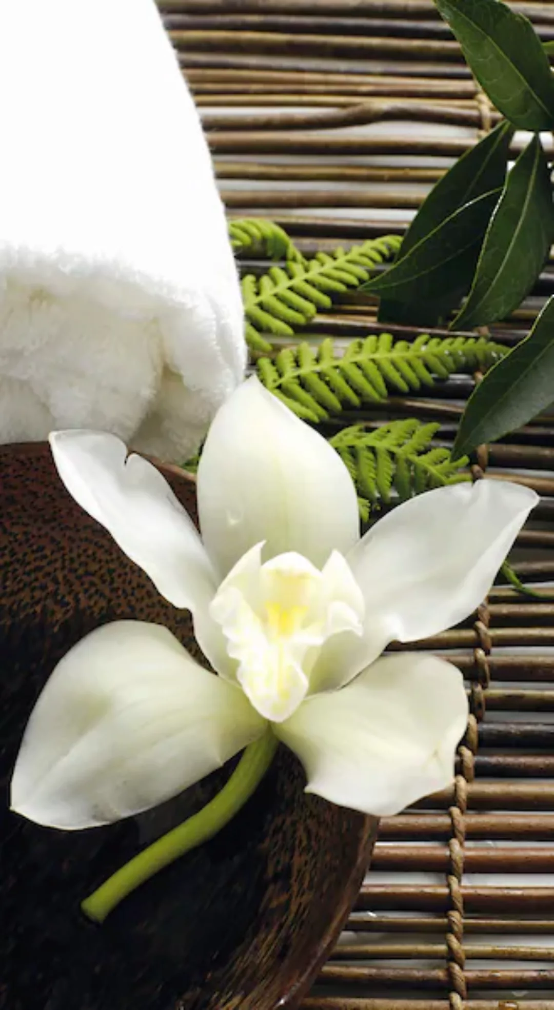 Wall-Art Vliestapete »asiatische Wellness Orchidee« günstig online kaufen