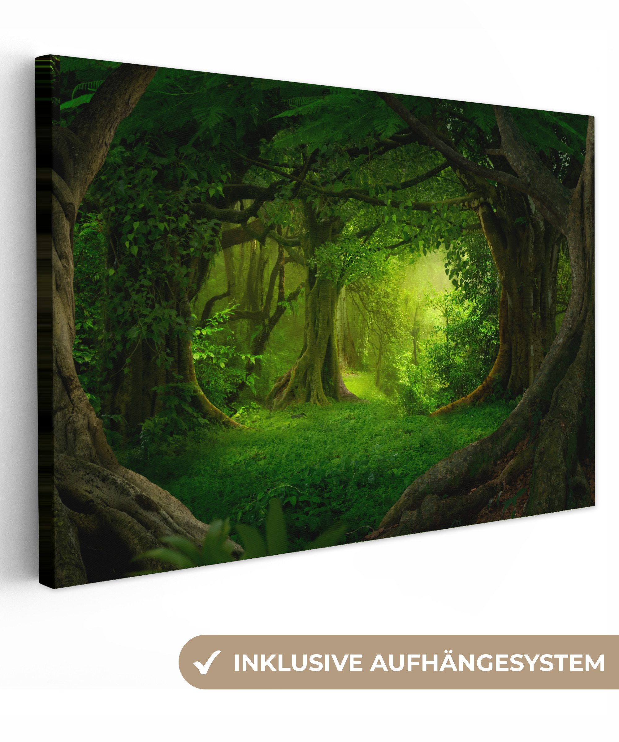 OneMillionCanvasses® Leinwandbild Bäume - Wald - günstig online kaufen