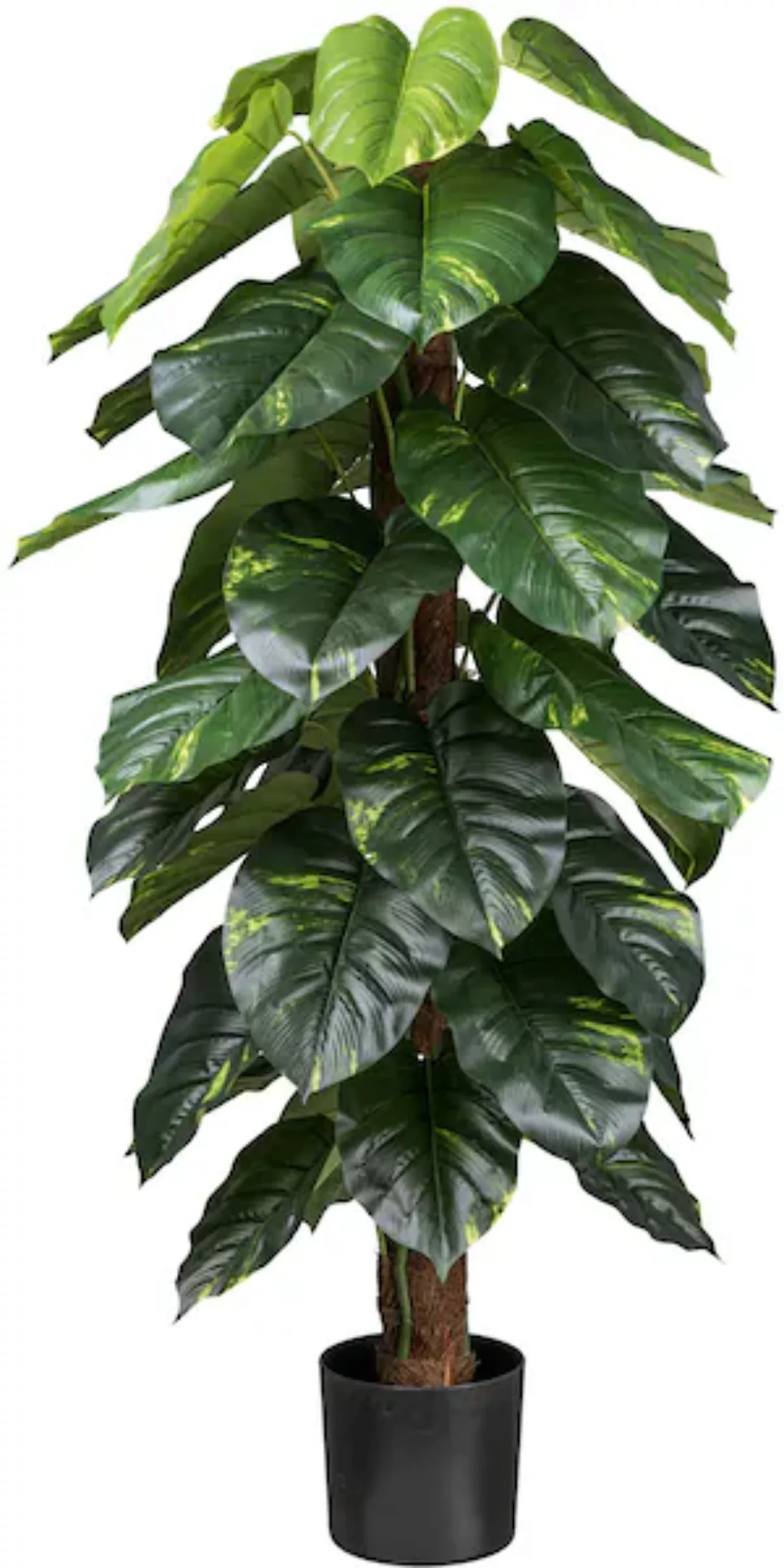 Creativ green Künstliche Zimmerpflanze »Philodendron Scandens«, mit Kokosfa günstig online kaufen