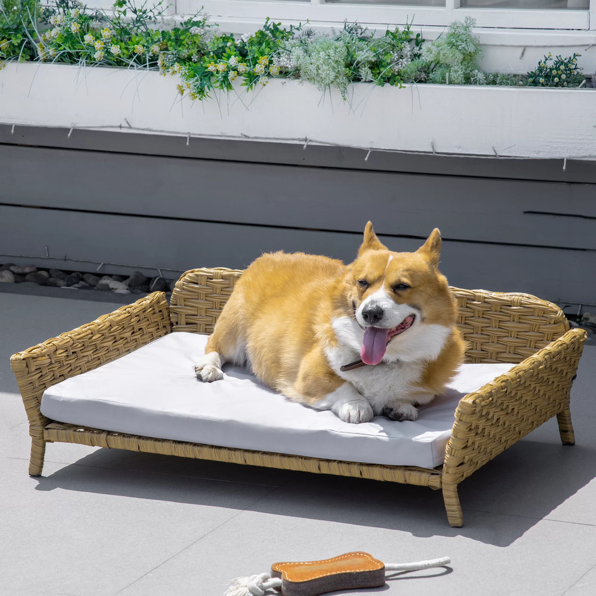 PawHut Rattan Hundesofa  Wetterbeständiges Hundebett mit Kissen, Gelb, 84x5 günstig online kaufen
