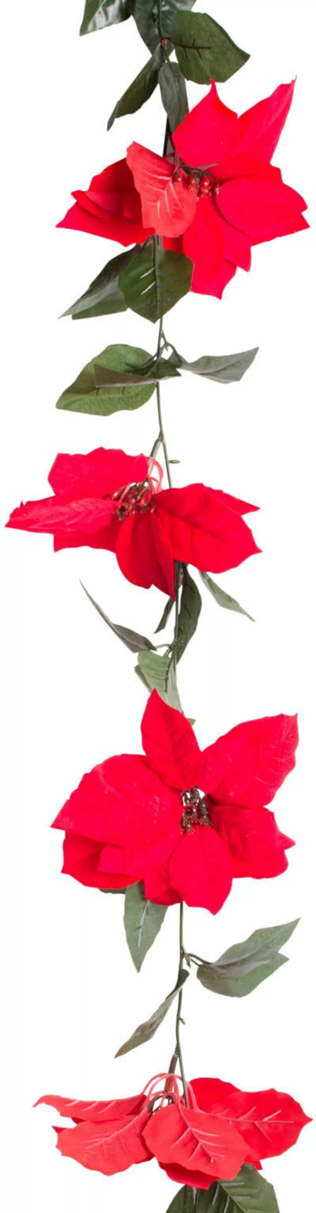 Botanic-Haus Kunstblume "Poinsettiengirlande" günstig online kaufen