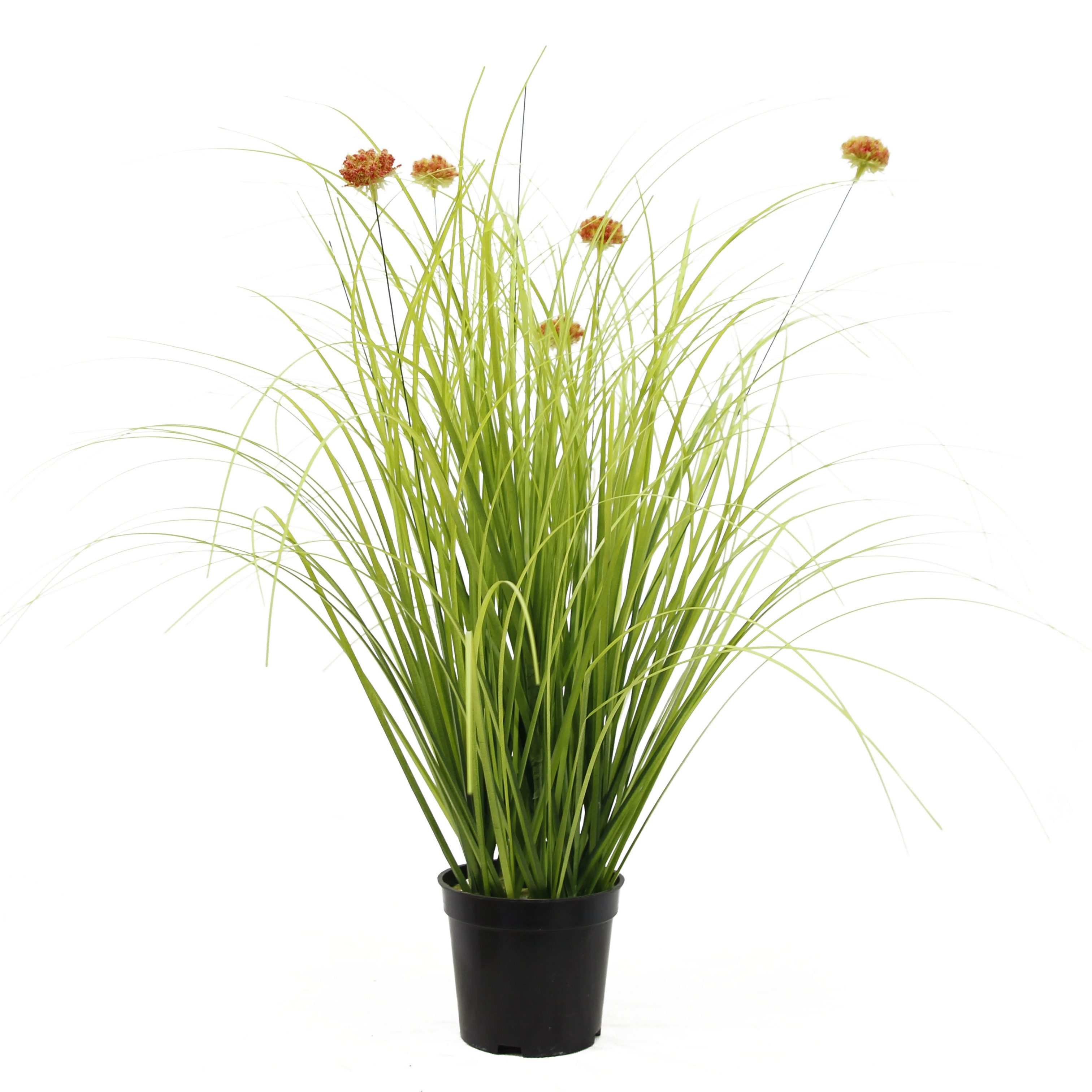 Kunstpflanze Künstliches Gras, Deko, Kunstpflanze, Pampasgras, günstig online kaufen