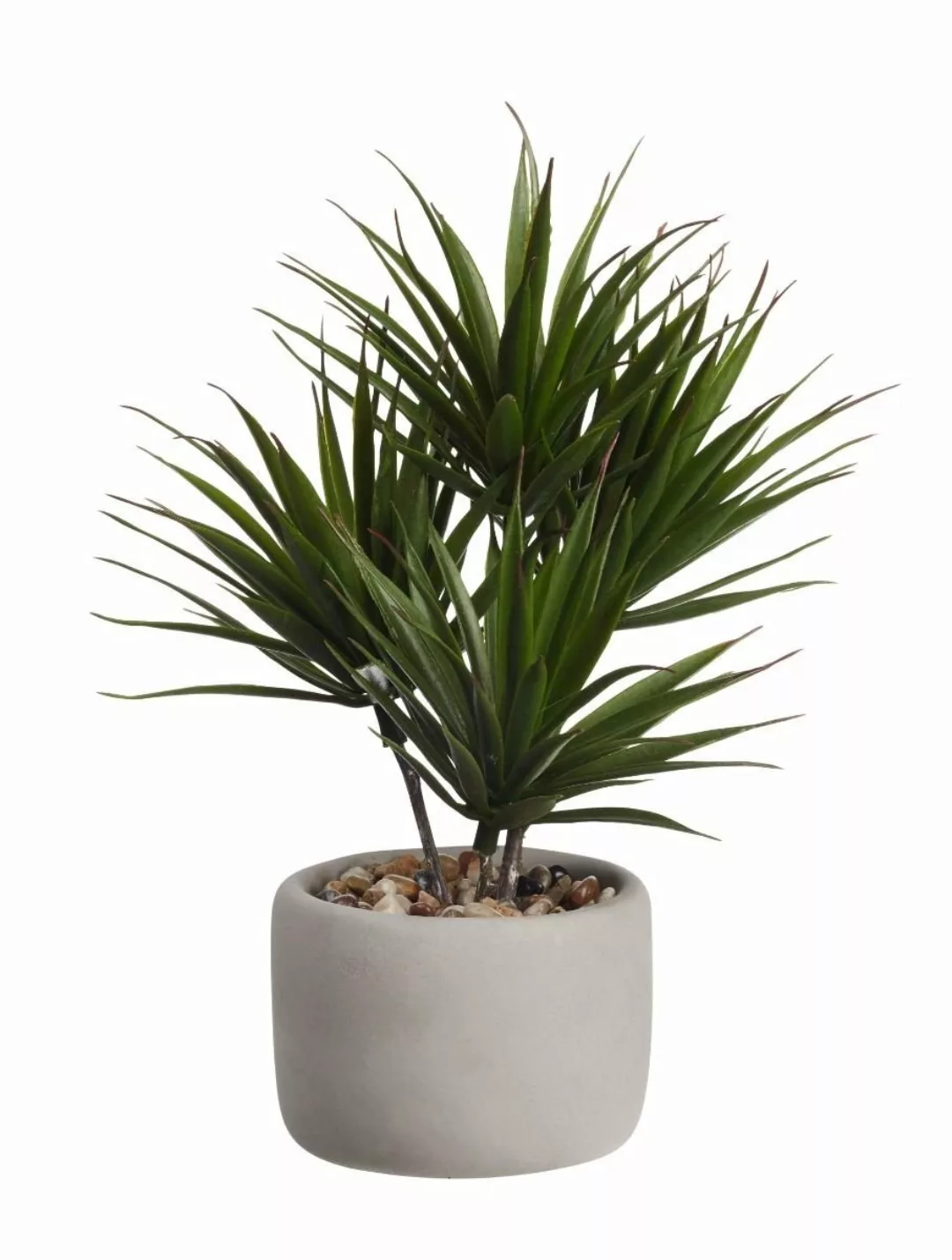 ASA Kunstpflanzen & -blumen Bonsai palme 24,5 x 17,5 x 24,5 cm (grün) günstig online kaufen