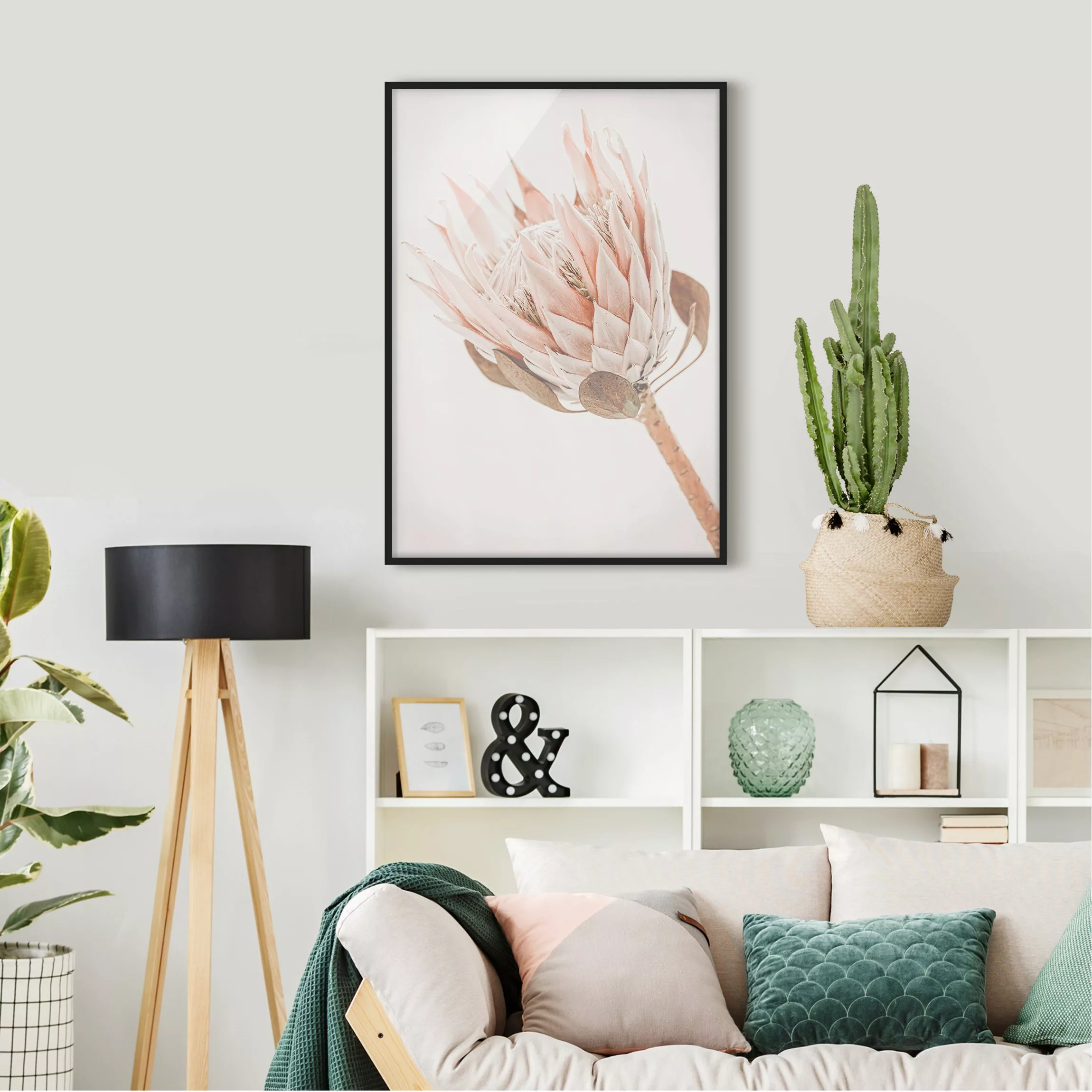 Bild mit Rahmen Protea Königin der Blüten günstig online kaufen