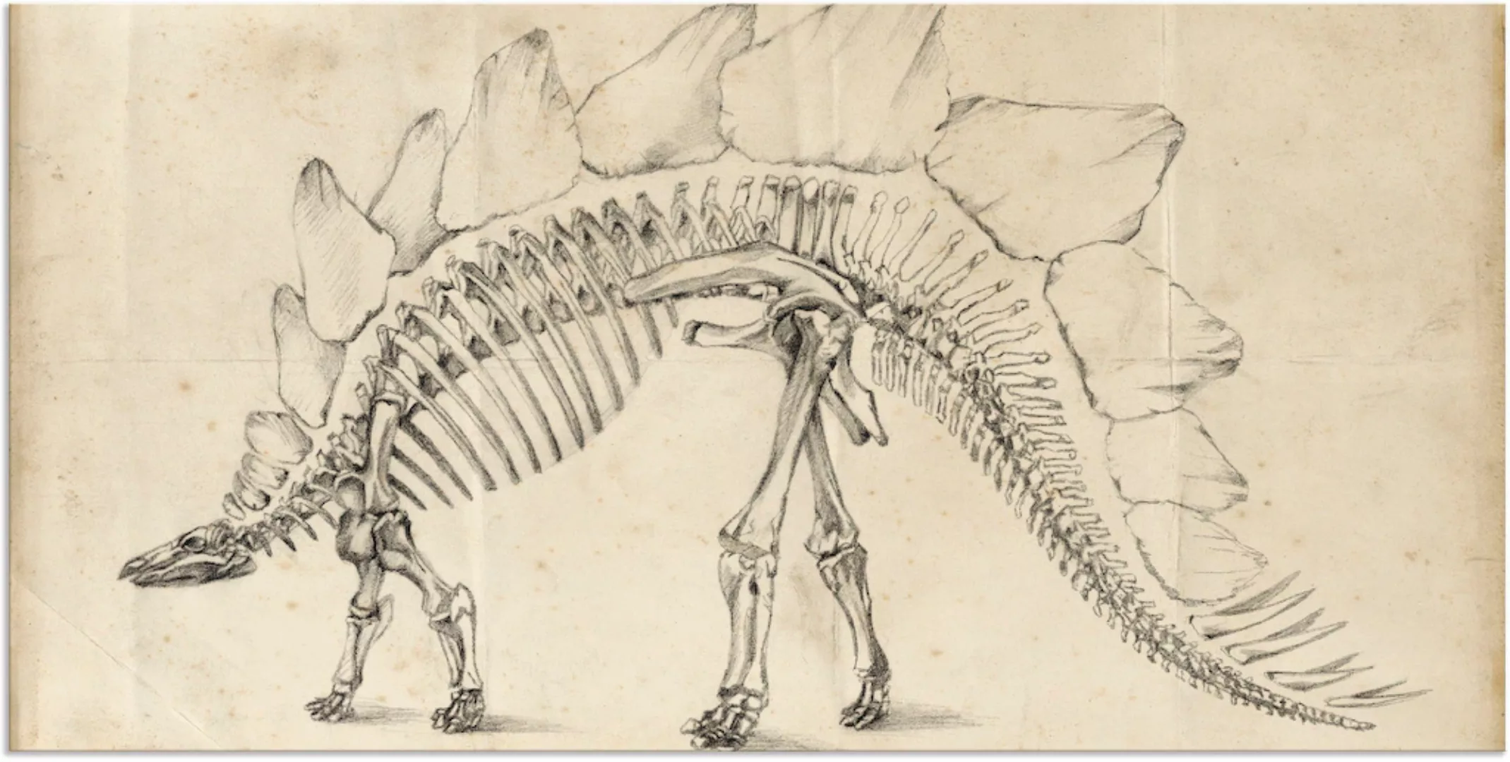 Artland Wandbild "Dinosaurier Lehre III", Dinosaurier, (1 St.), als Alubild günstig online kaufen