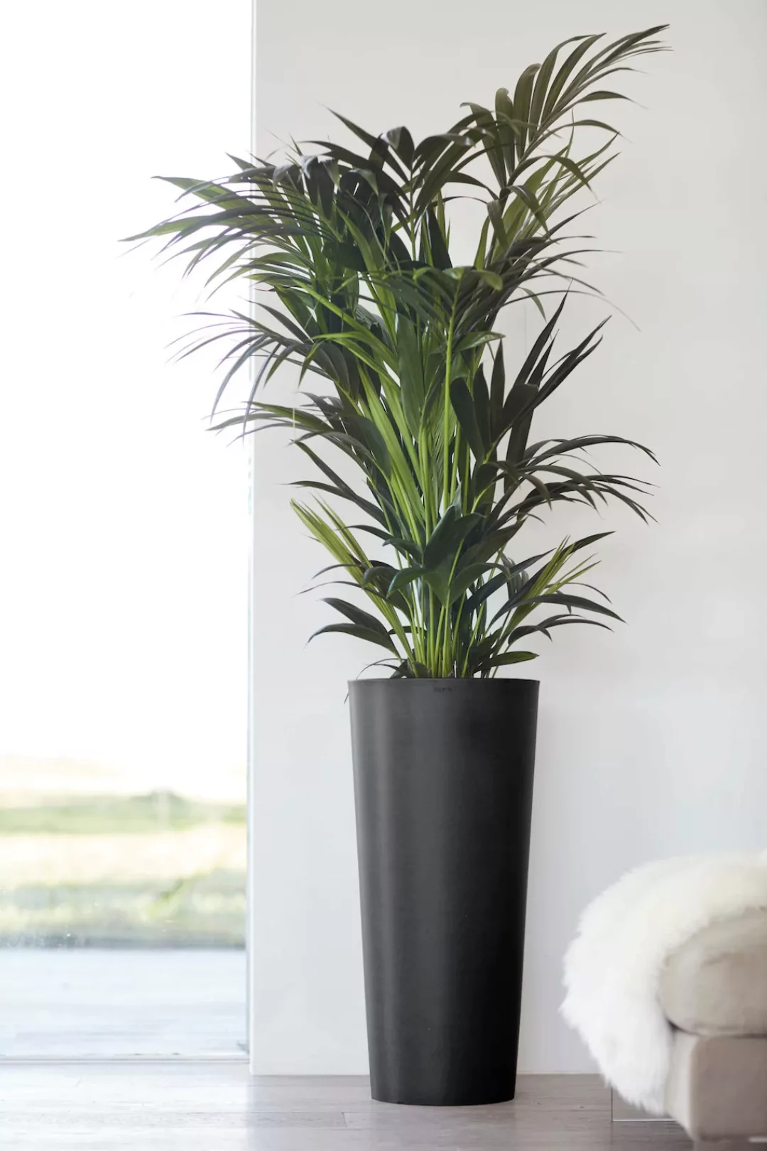 Ecopots Pflanztopf Amsterdam hoch Dunkelgrau 70 cm günstig online kaufen