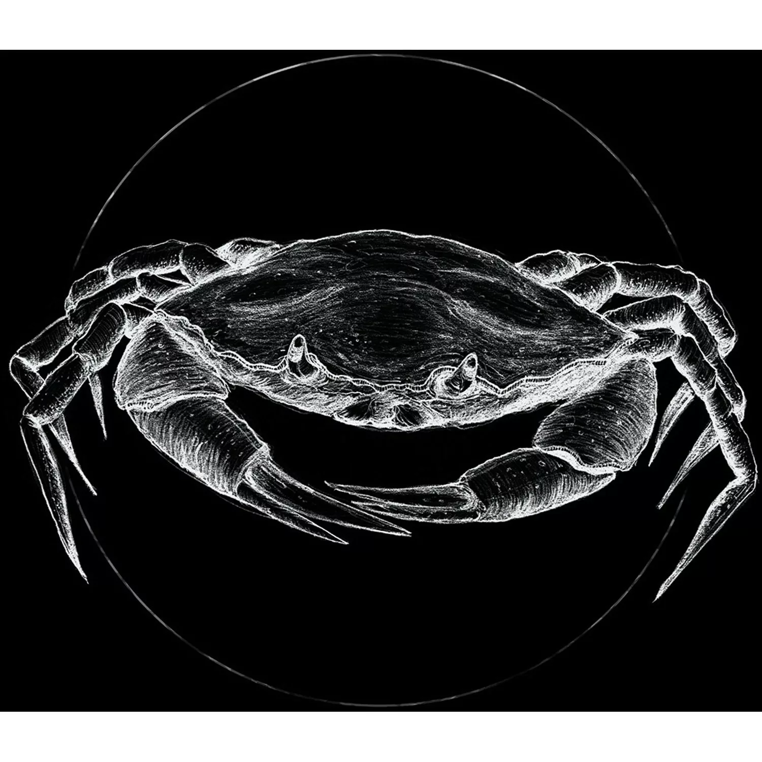 Komar Poster "Crab Black", Tiere, (1 St.) günstig online kaufen