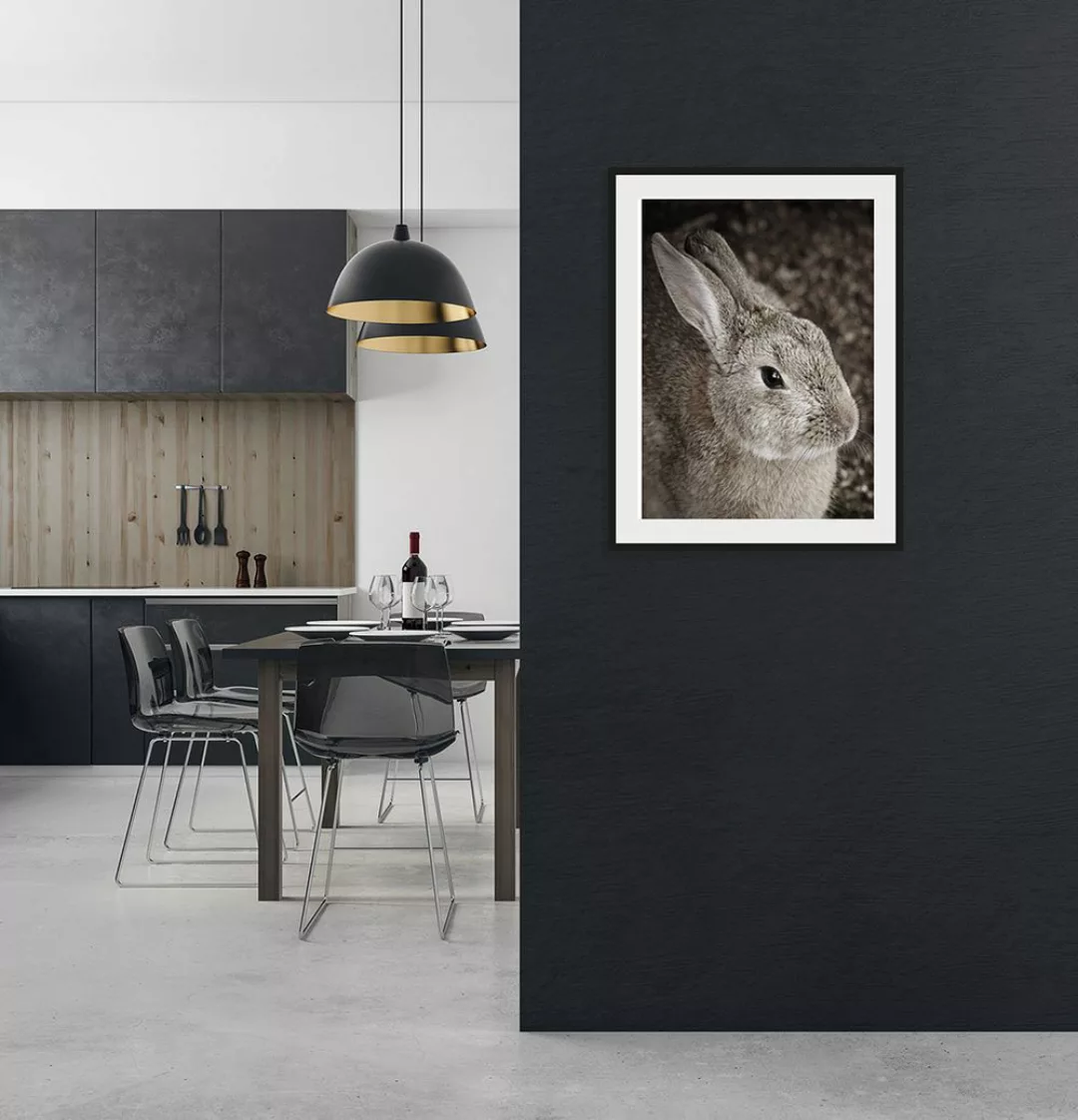 queence Bild "Tilde", Hase, (1 St.) günstig online kaufen