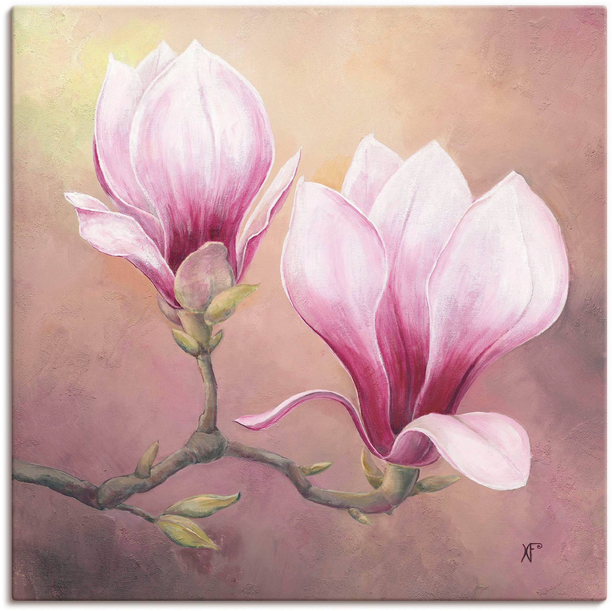 Artland Wandbild "Späte Magnolie", Blumenbilder, (1 St.), als Alubild, Lein günstig online kaufen