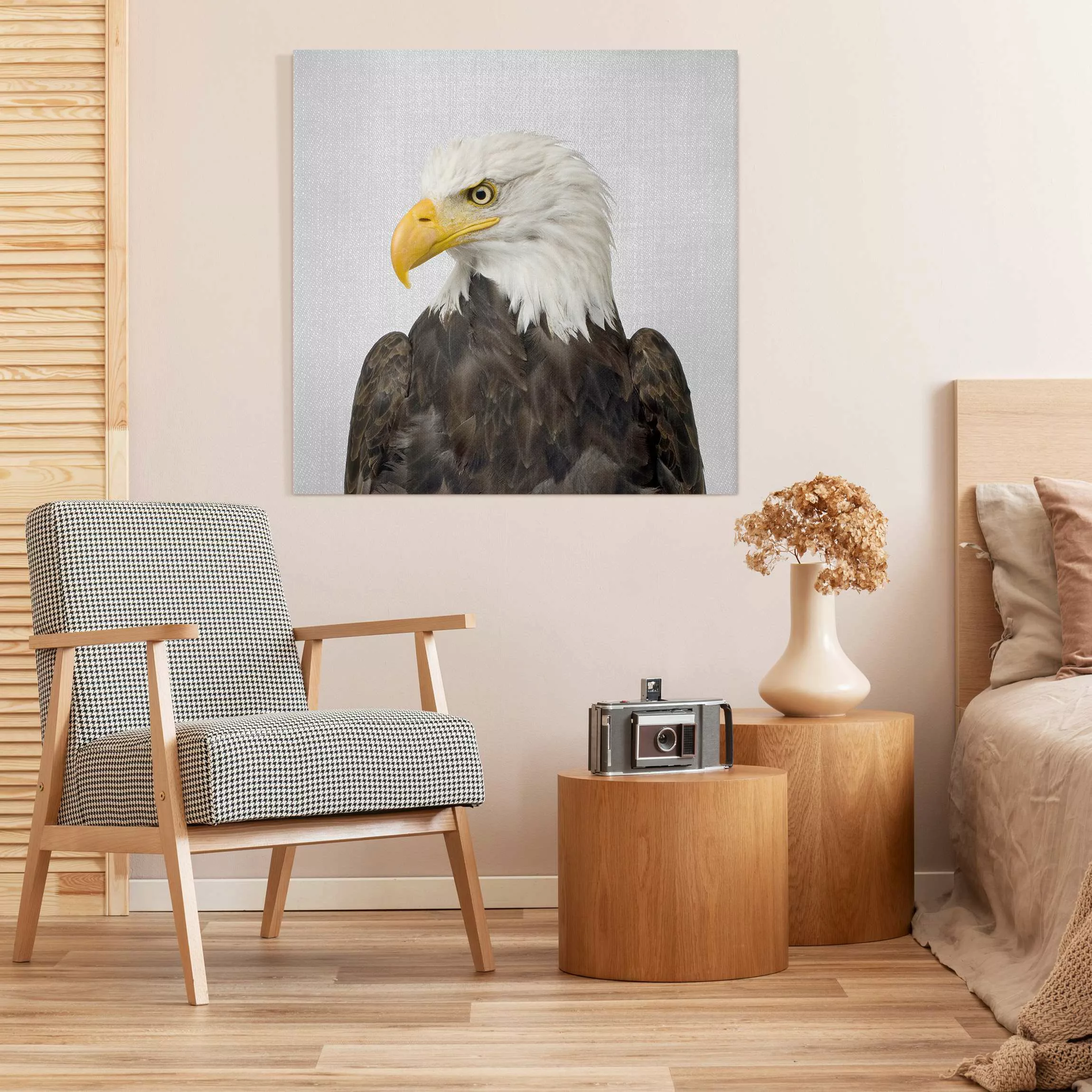 Leinwandbild Seeadler Sokrates günstig online kaufen