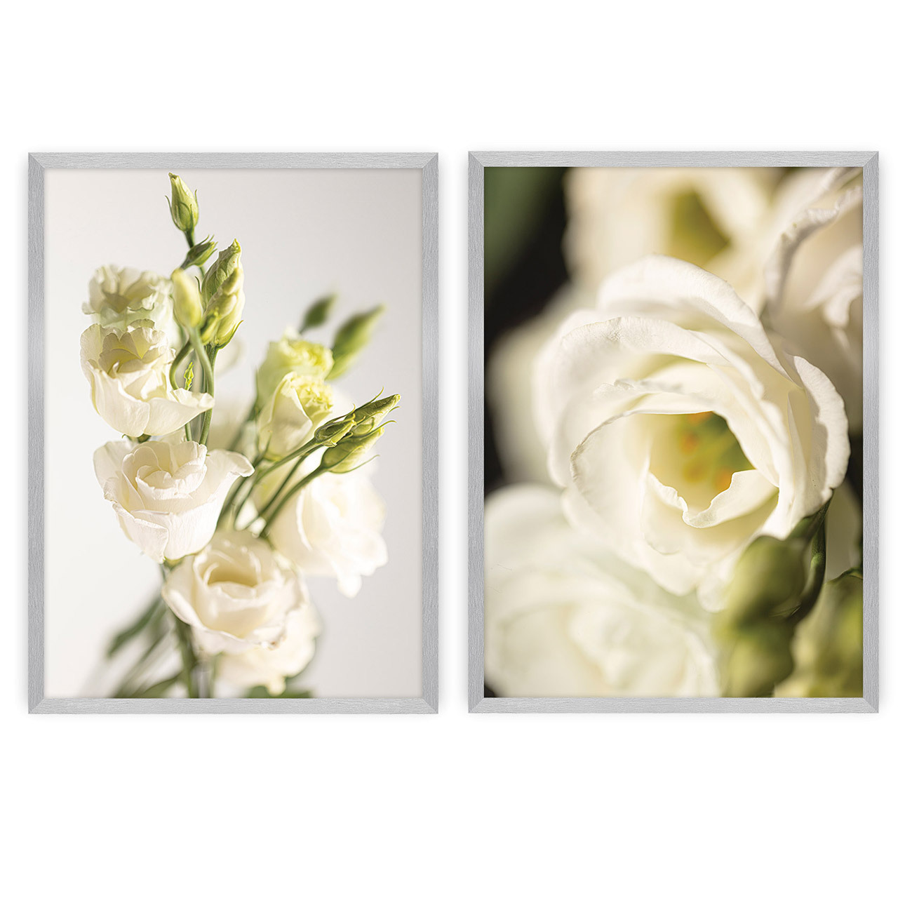 Bilder-Set Flowers 2 Stck., 50 x 70 cm günstig online kaufen