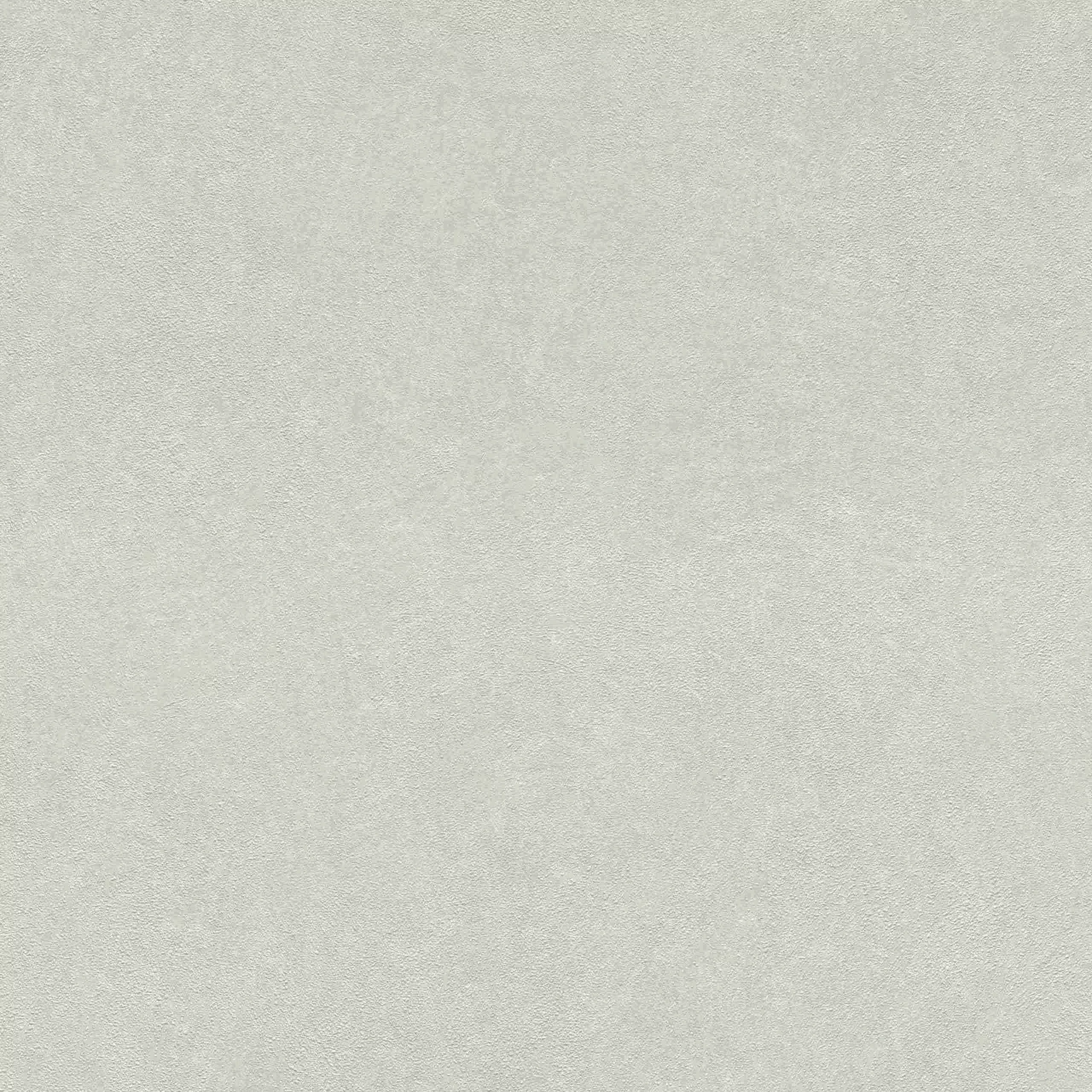 Rasch Tapete Kollektion Wall Textures IV 860153 Uni günstig online kaufen