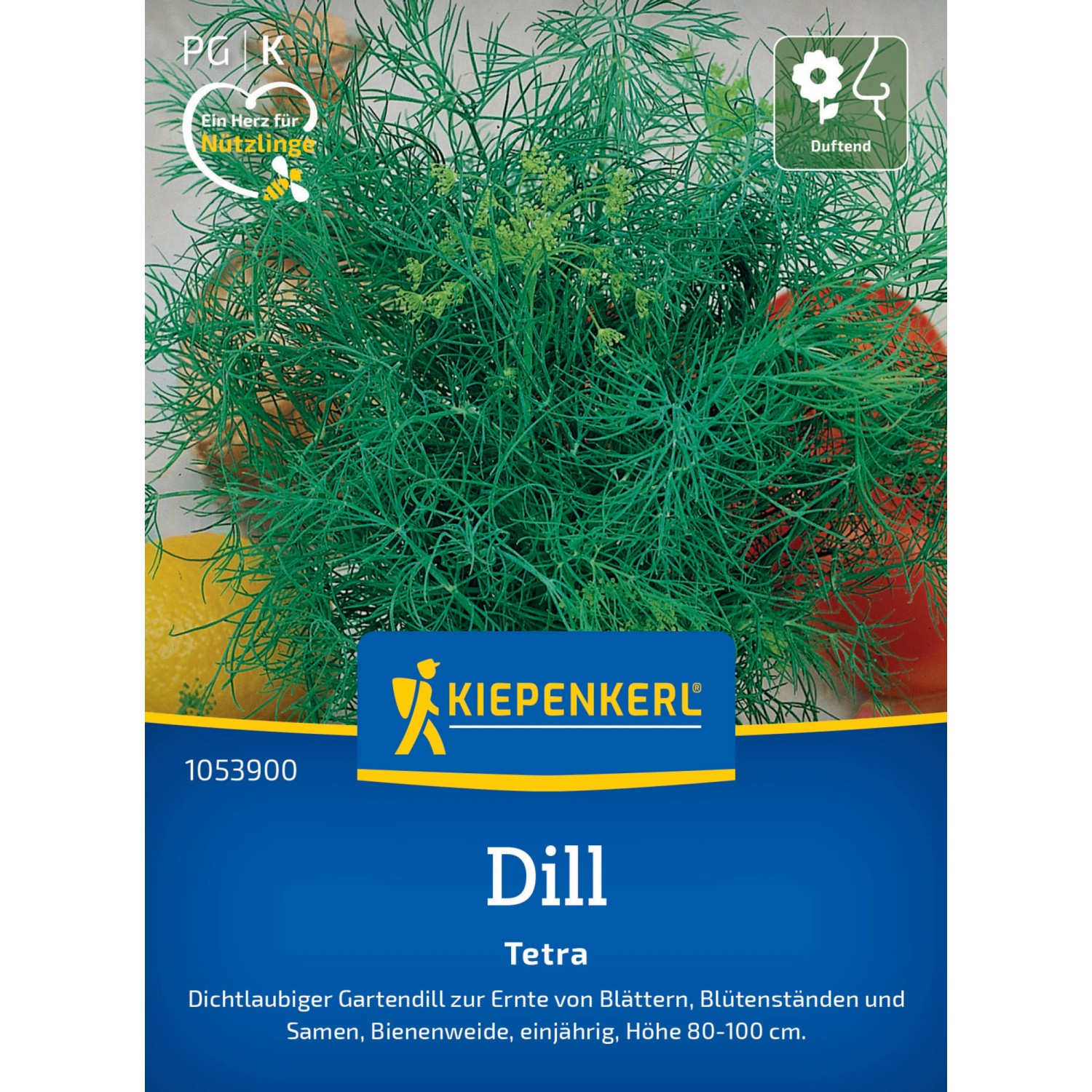 Kiepenkerl Dill Tetra günstig online kaufen