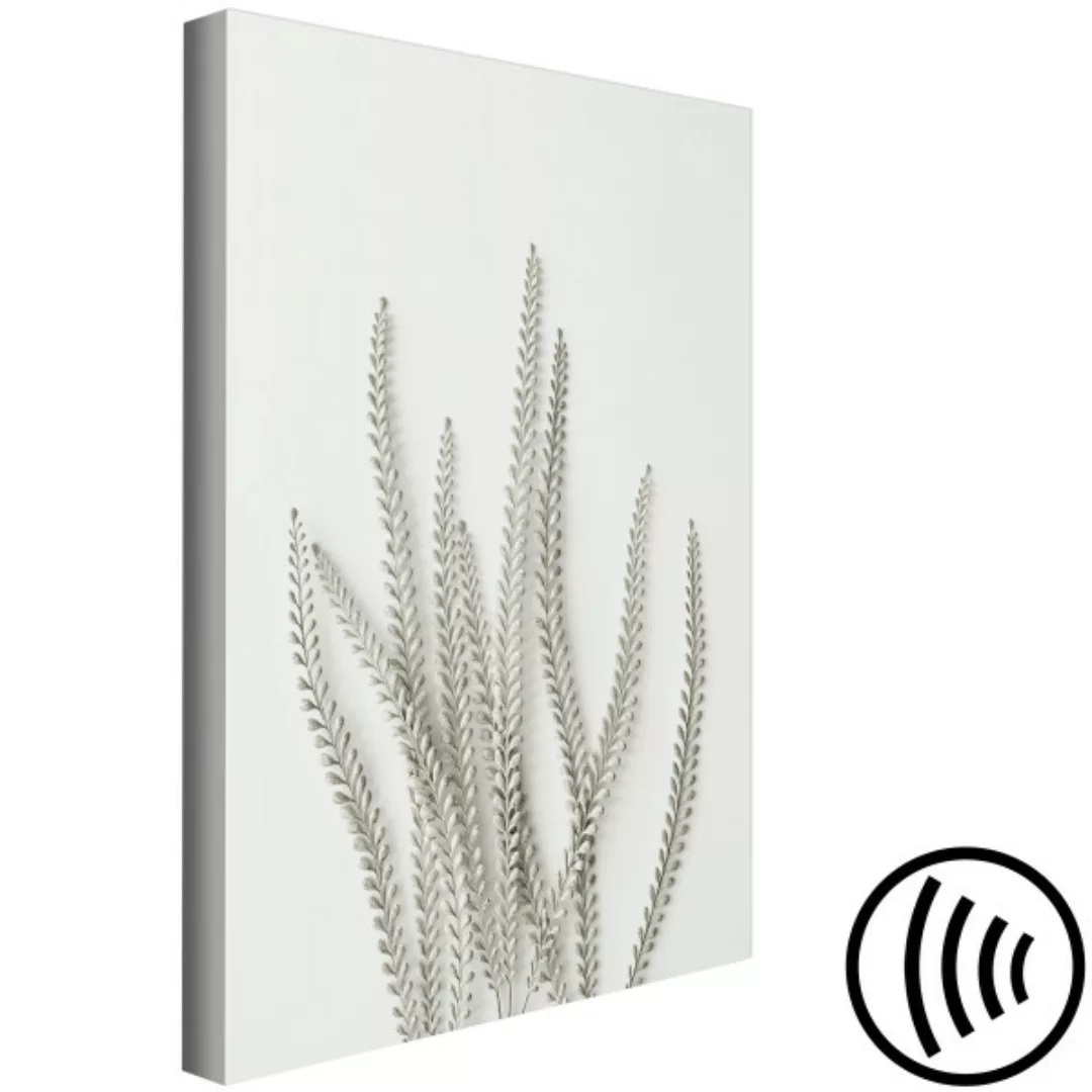 Wandbild Silberpflanze – eine monochrome Landschaft mit kleinblättrigen Str günstig online kaufen