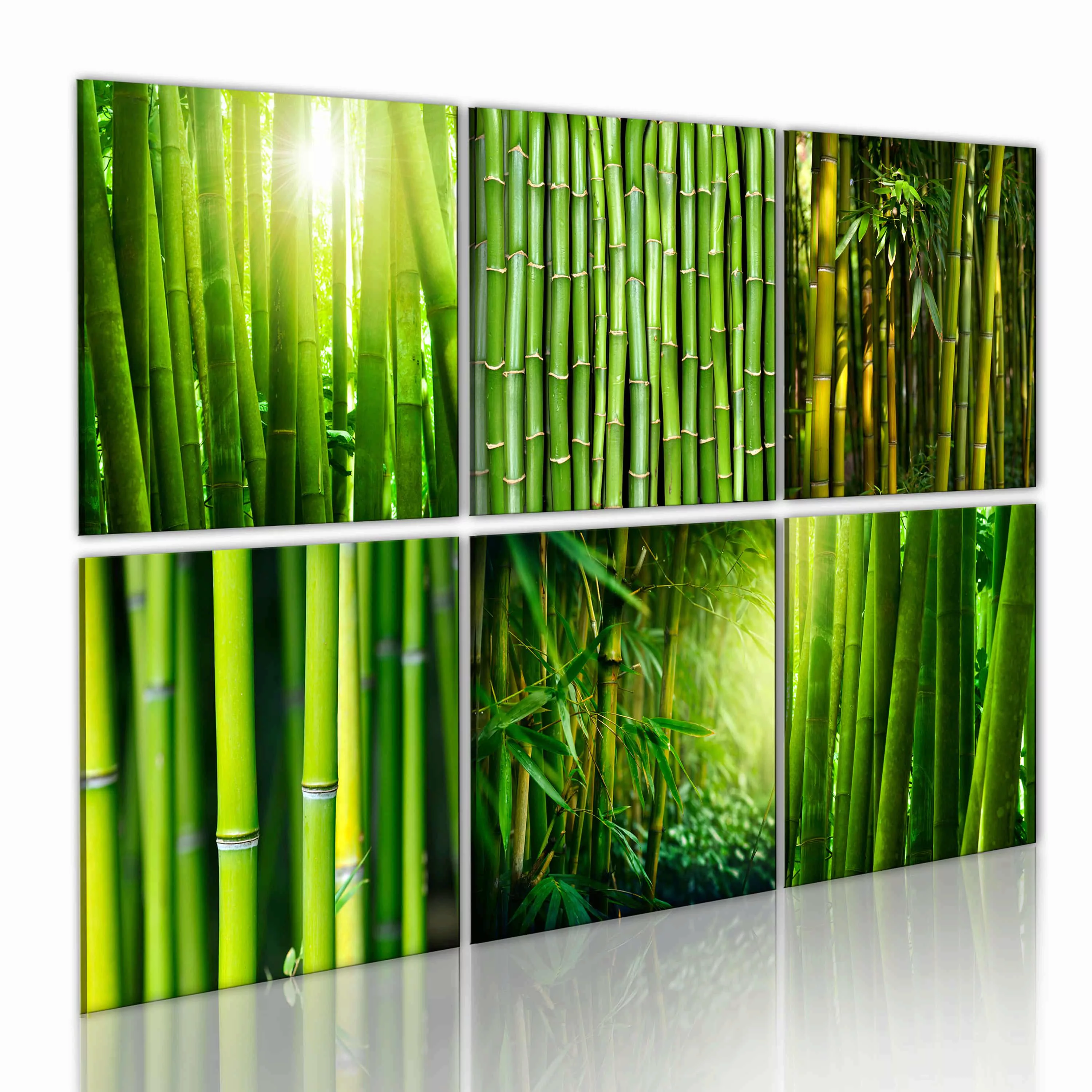 Wandbild - Bambus hat viele Gesichter günstig online kaufen