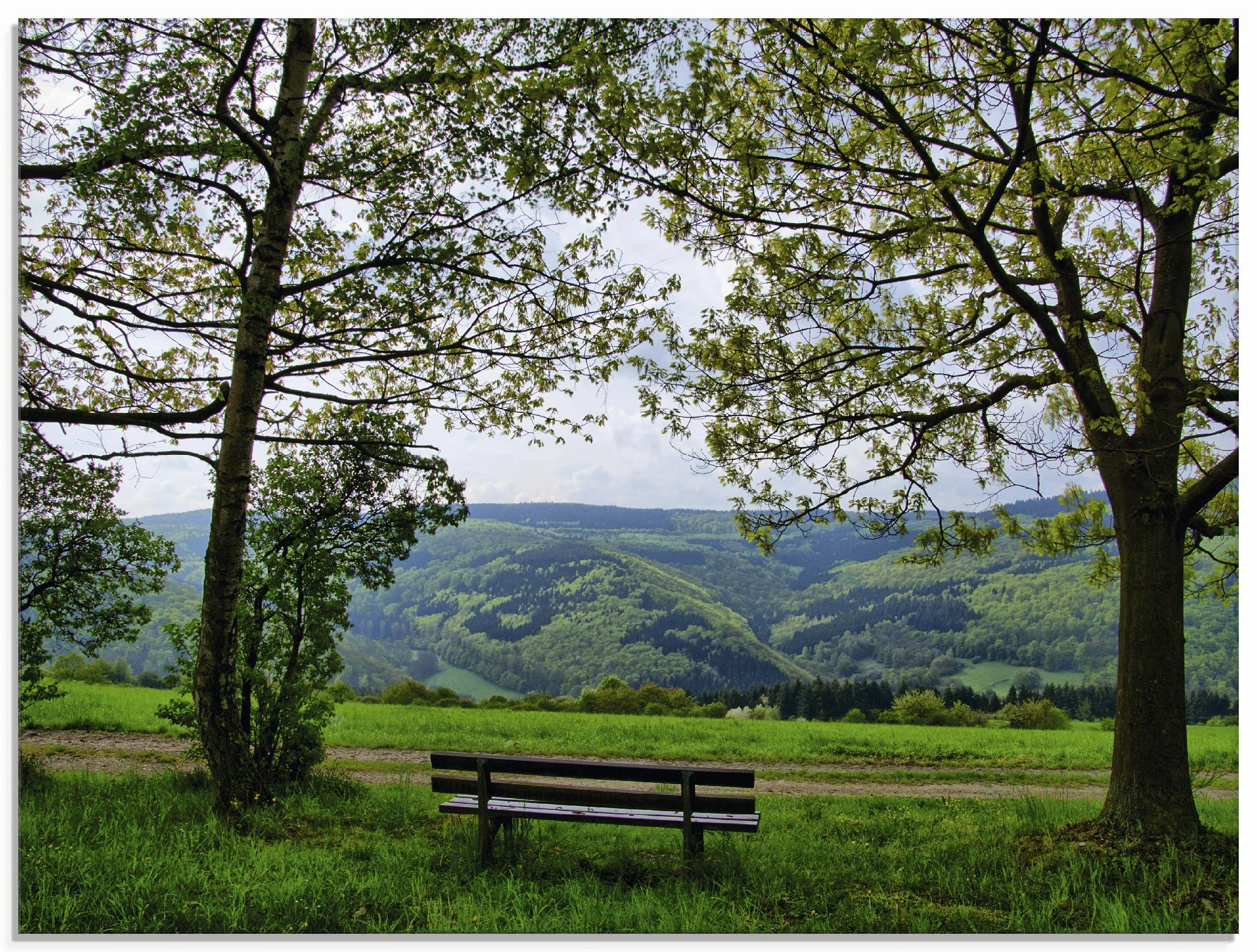 Artland Glasbild »Ausblick in den Frühling«, Felder, (1 St.) günstig online kaufen