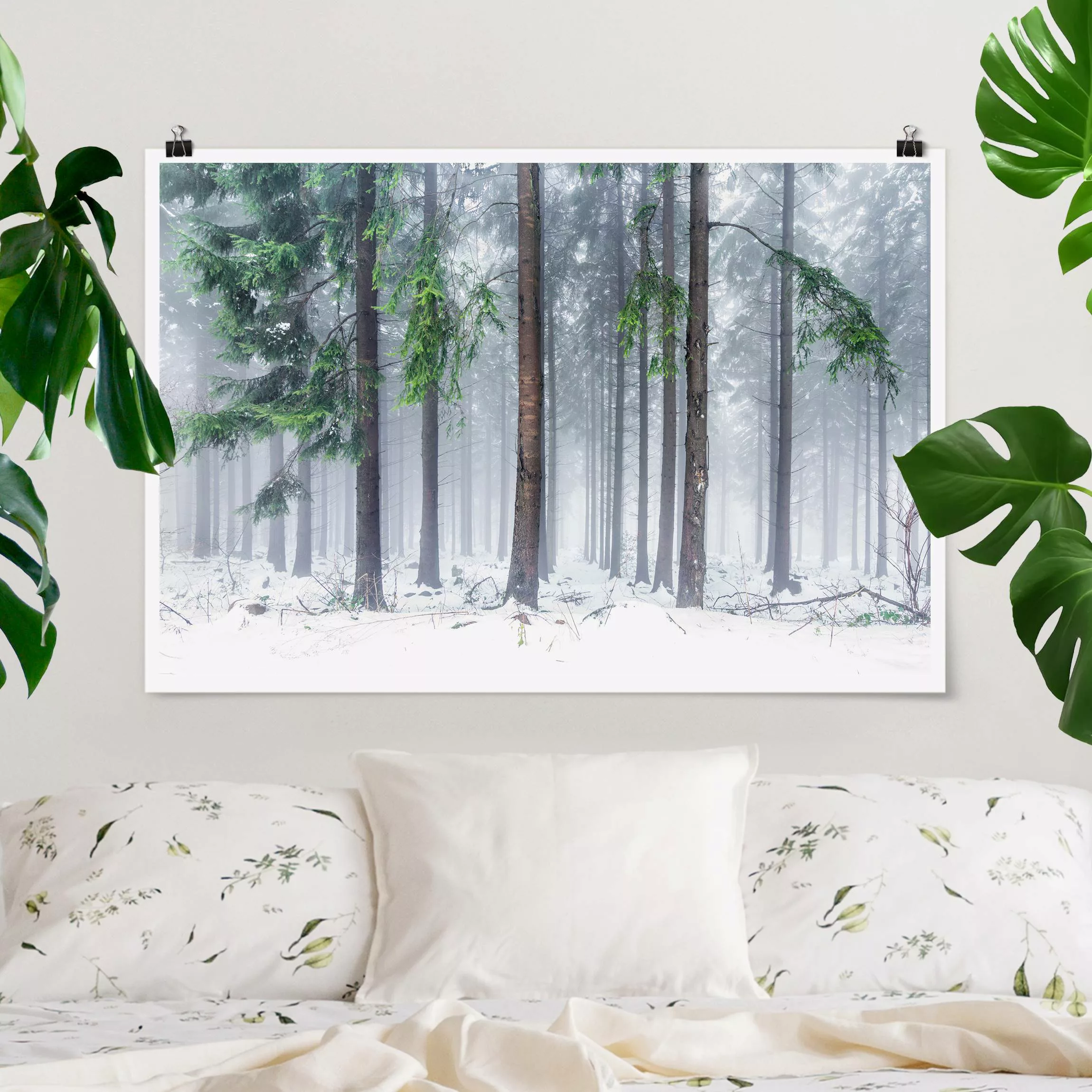 Poster Nadelbäume im Winter günstig online kaufen