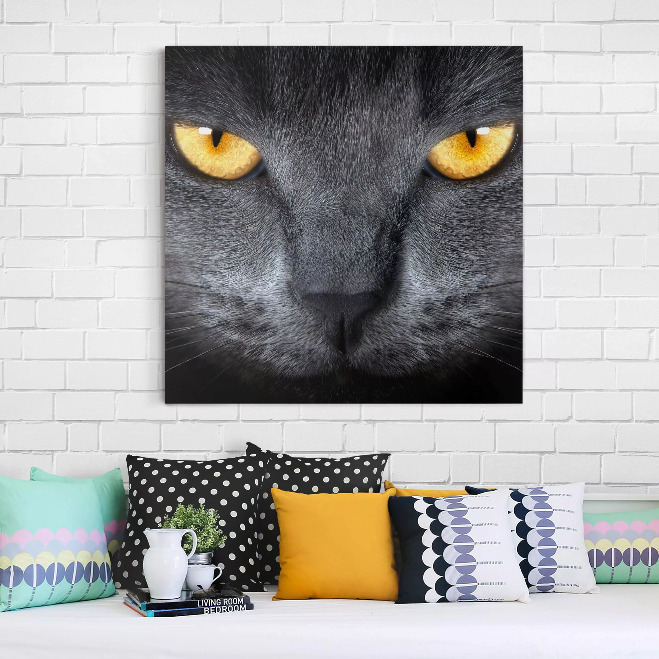 Leinwandbild Tiere - Quadrat Cats Gaze günstig online kaufen