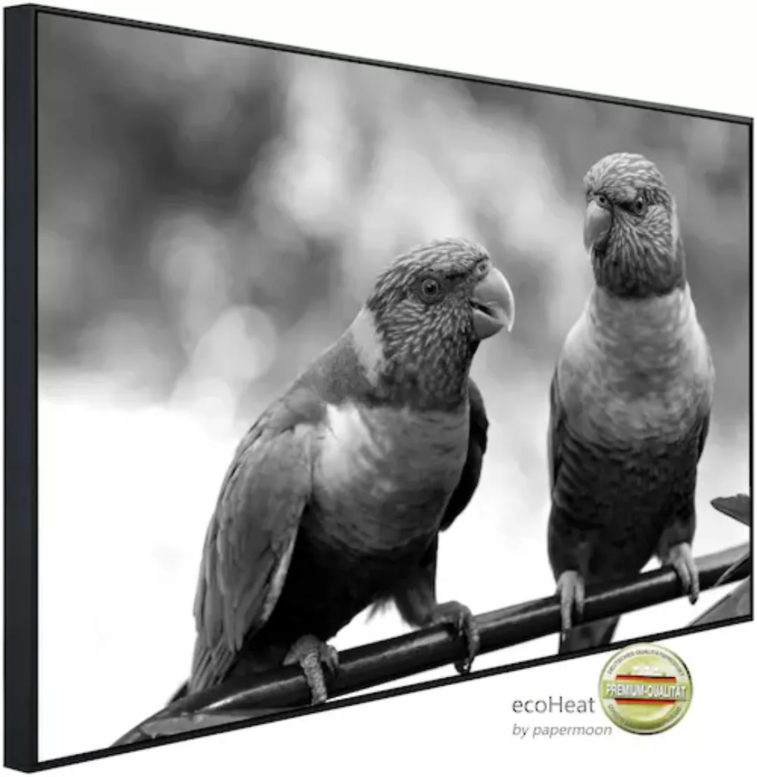 Papermoon Infrarotheizung »Vögel Schwarz & Weiß«, sehr angenehme Strahlungs günstig online kaufen