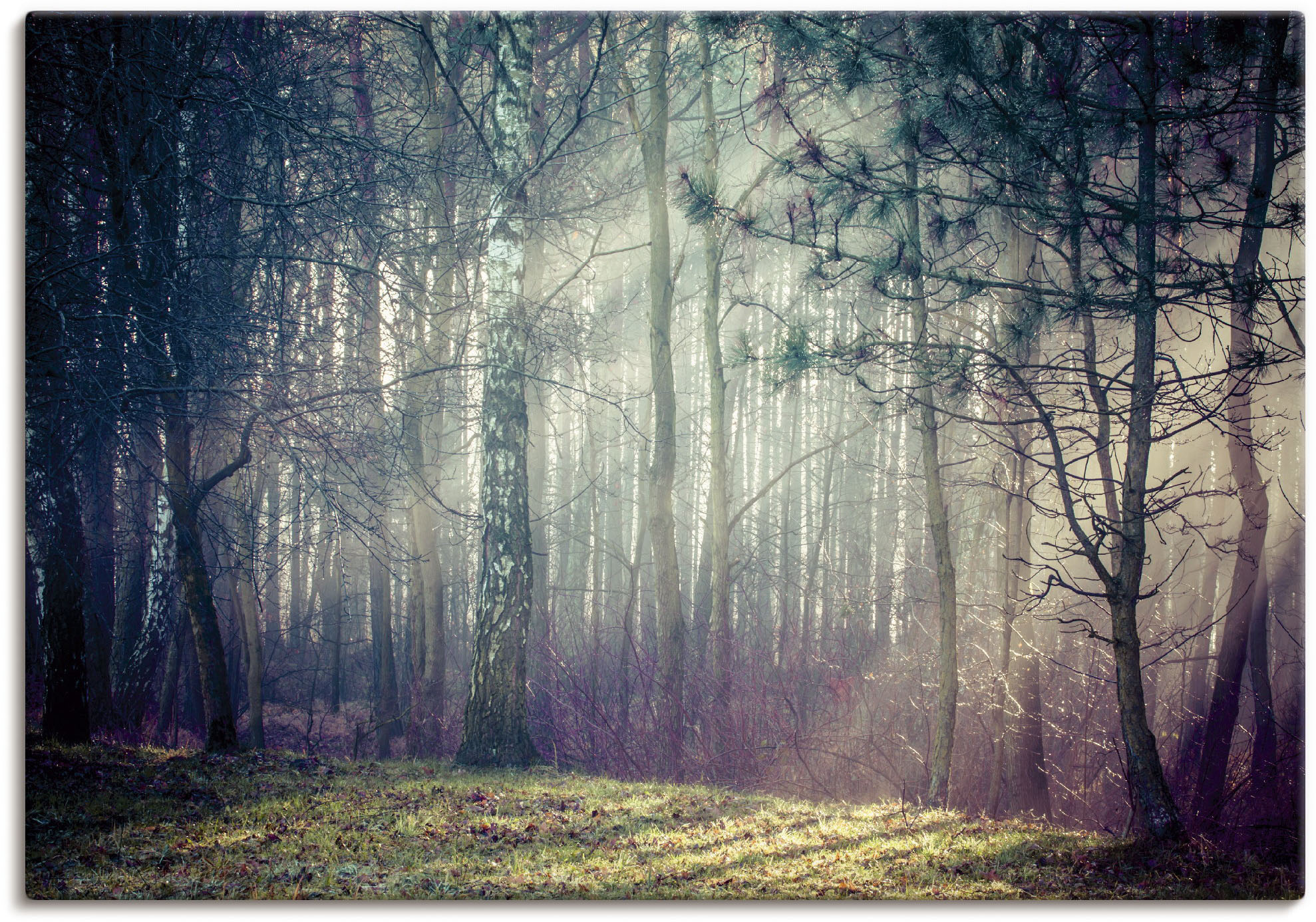 Artland Wandbild »Sonnenstrahlen im Wald«, Waldbilder, (1 St.), als Alubild günstig online kaufen