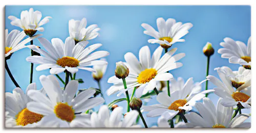 Artland Wandbild »Blumen - Margeriten«, Blumen, (1 St.), als Alubild, Outdo günstig online kaufen