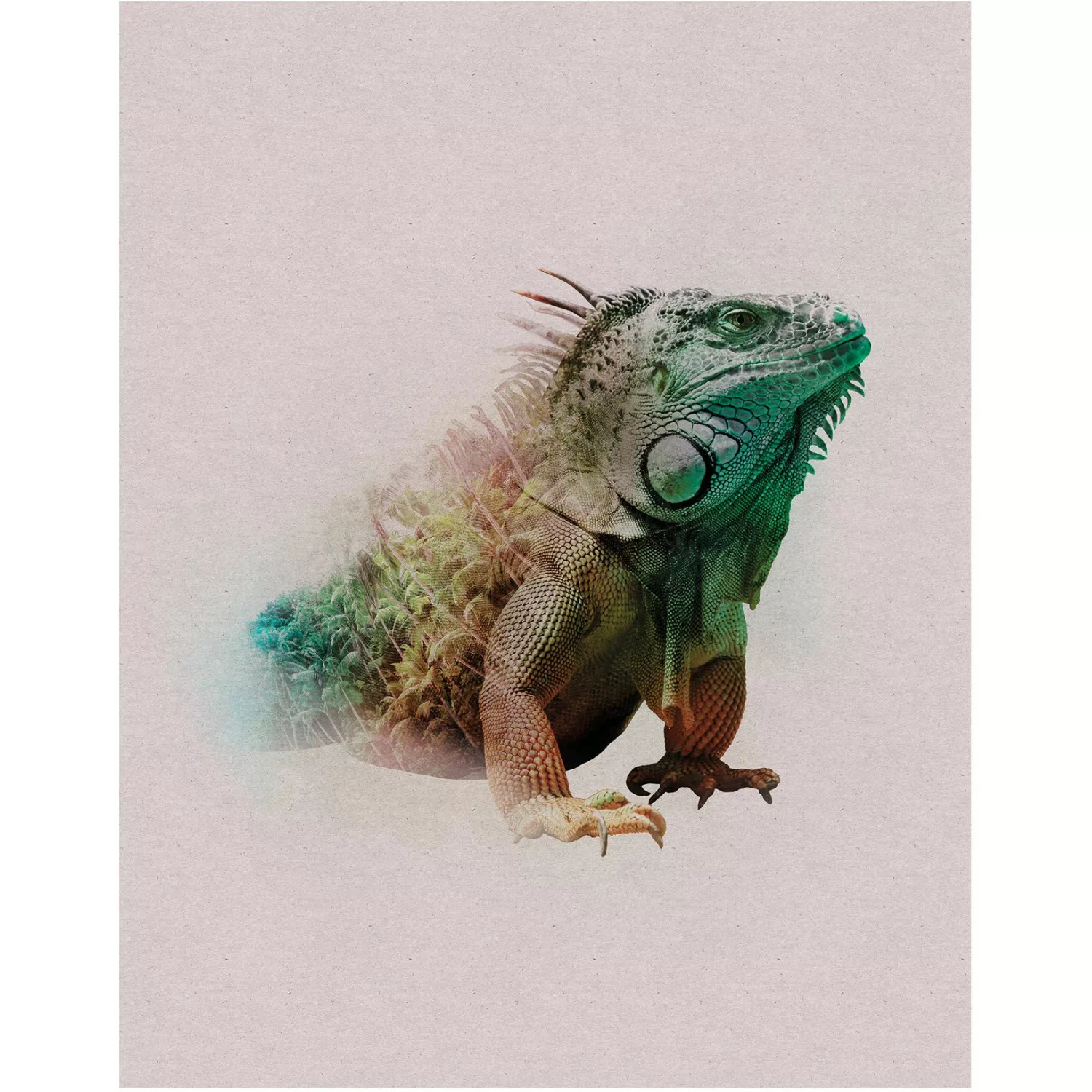 Komar Poster "Animals Paradise Iguana", Tiere, (1 St.) günstig online kaufen