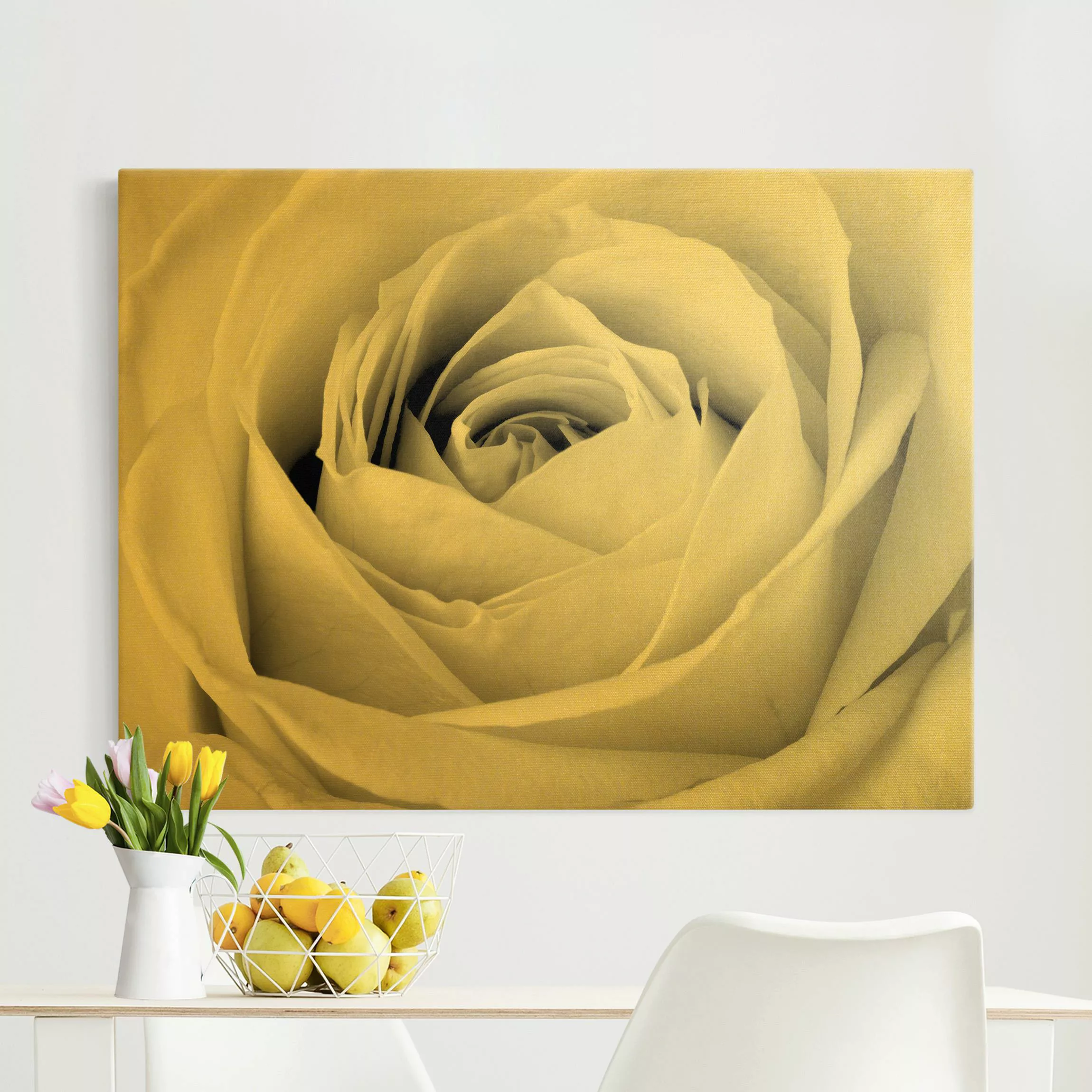 Leinwandbild Close Up Rose günstig online kaufen