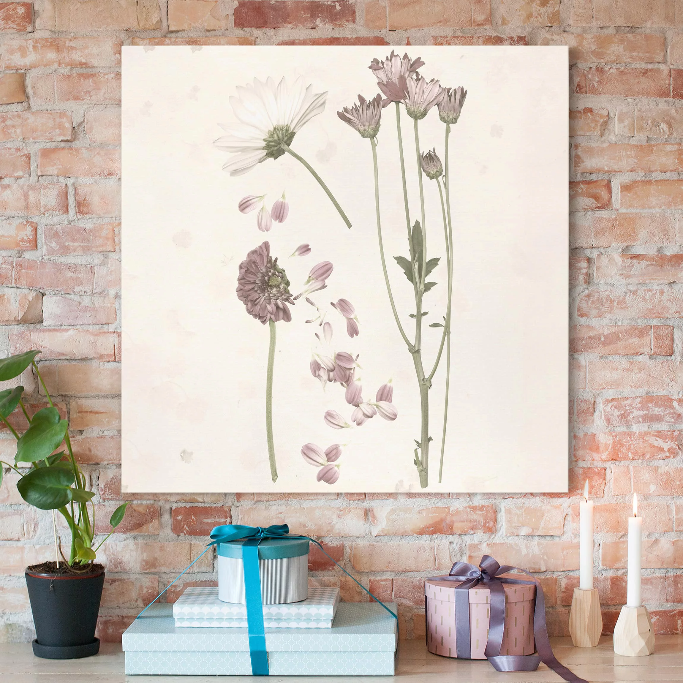 Leinwandbild Botanik - Quadrat Herbarium in rosa II günstig online kaufen