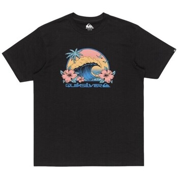 Quiksilver  T-Shirt - günstig online kaufen