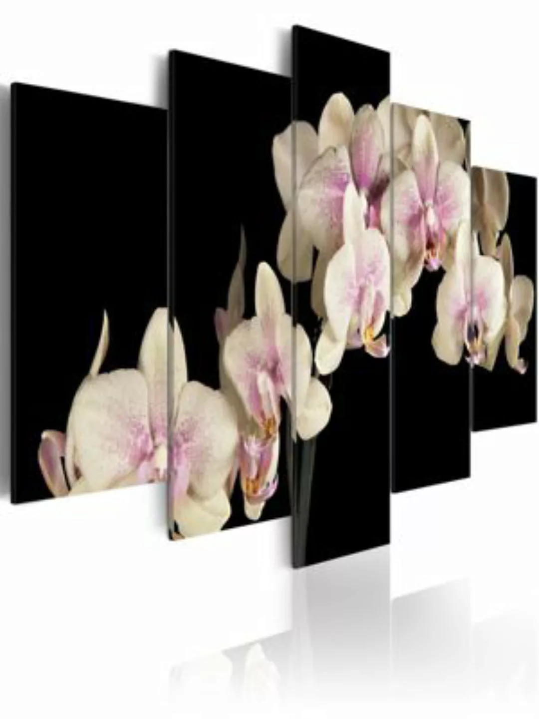 artgeist Wandbild Orchidee am kontrastierenden Hintergrund mehrfarbig Gr. 2 günstig online kaufen