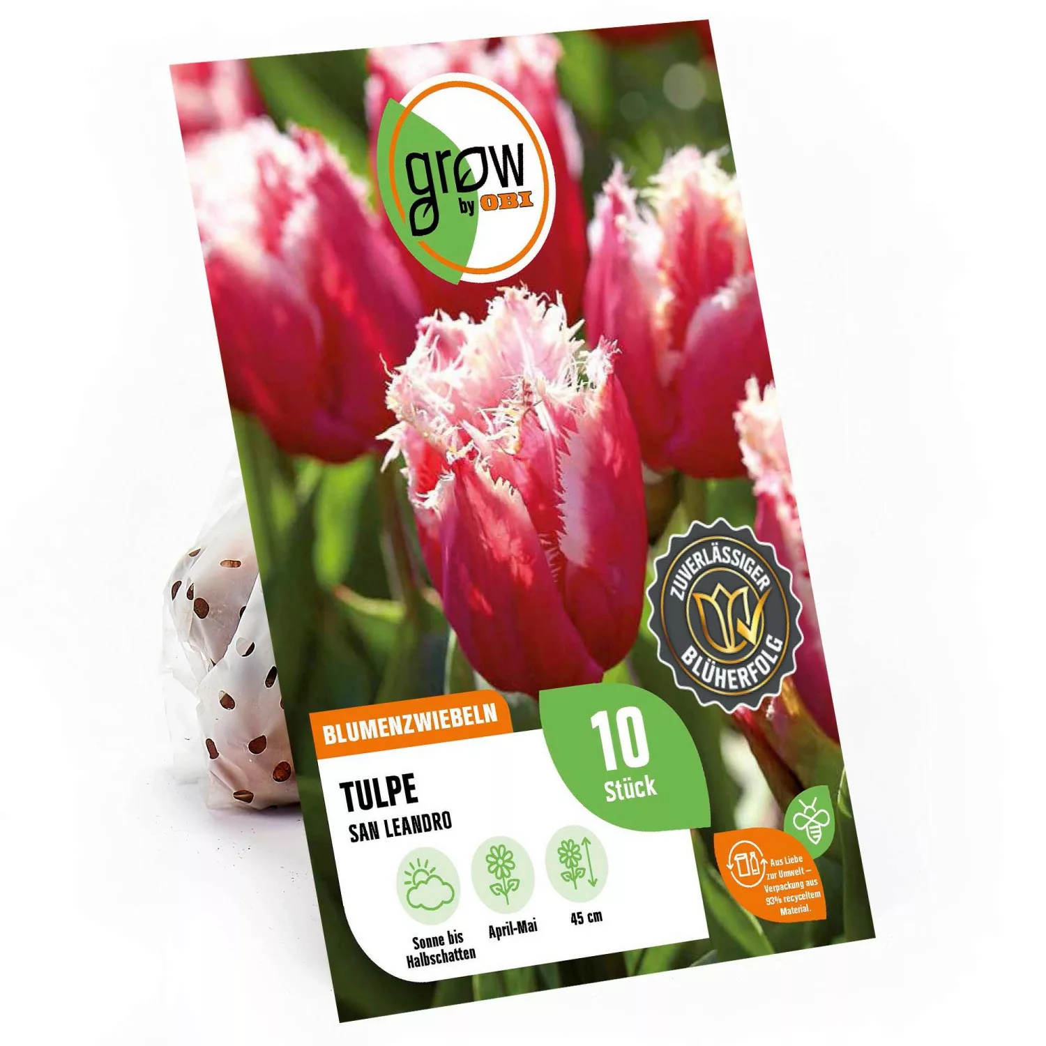 GROW by OBI Crispa-Tulpe San Leandro Rot-Weiß 45 cm Tulipa günstig online kaufen