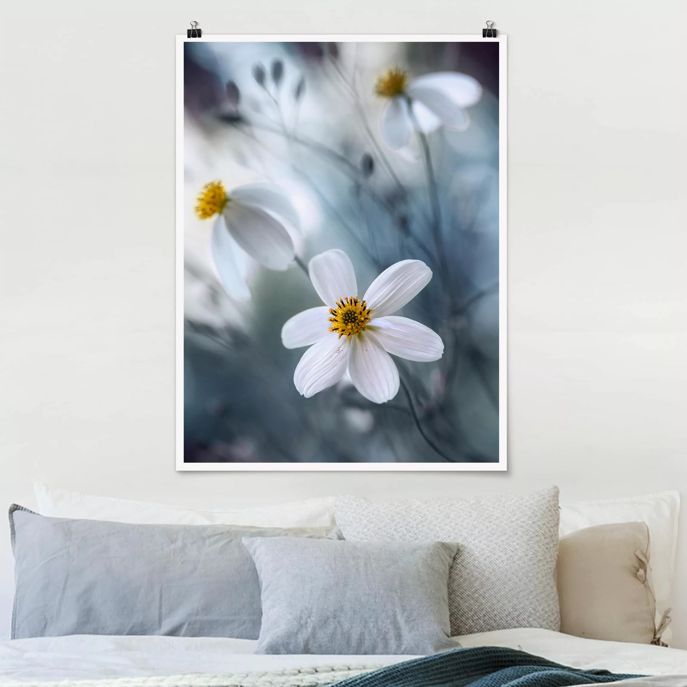 Poster Blumen - Hochformat Kosmeen in Pastell günstig online kaufen