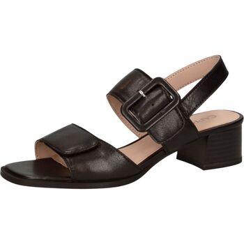 Caprice Sandalette, Blockabsatz, Riemchensandale, Businessschuh, verstellba günstig online kaufen