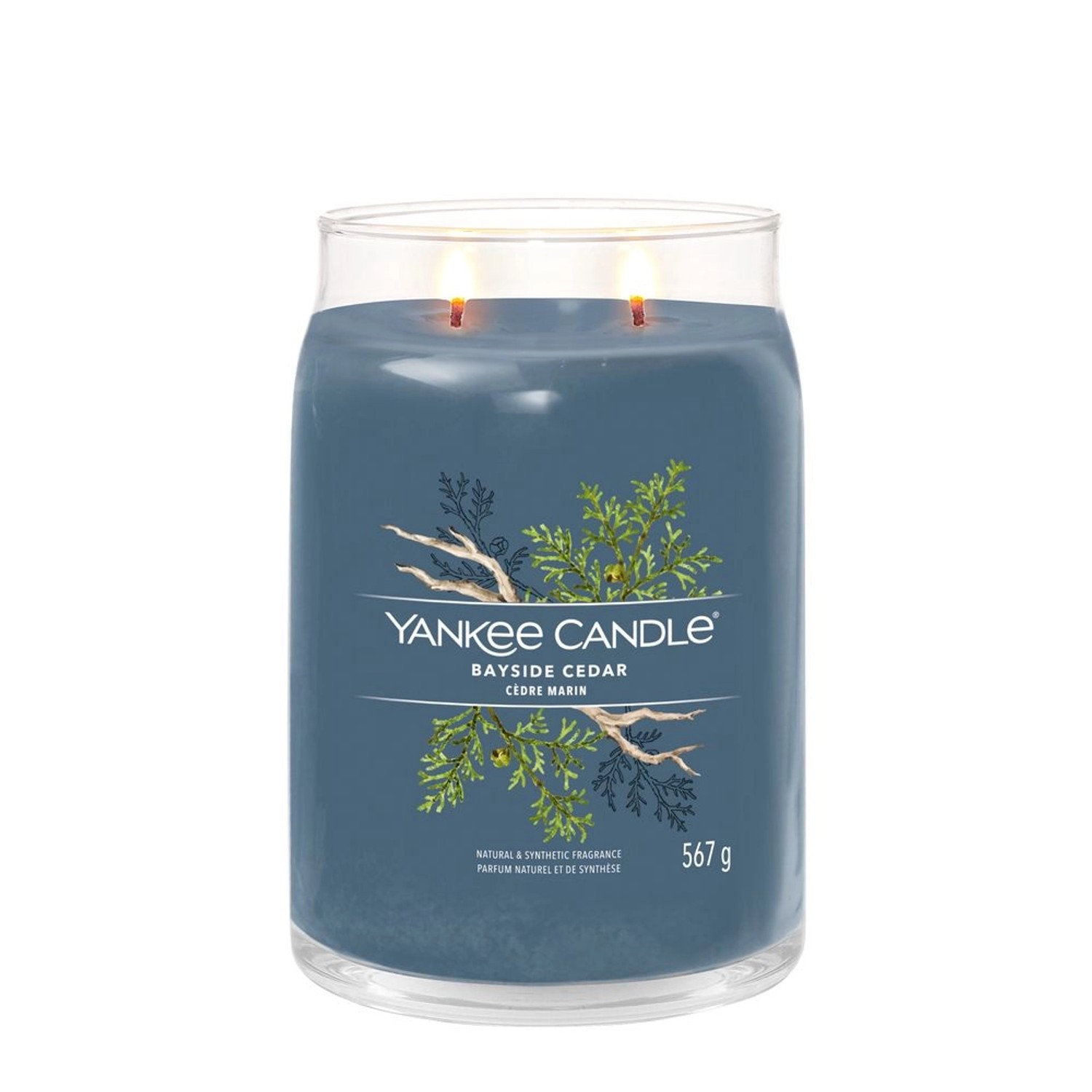 Yankee Candle Bayside Cedar 567g günstig online kaufen