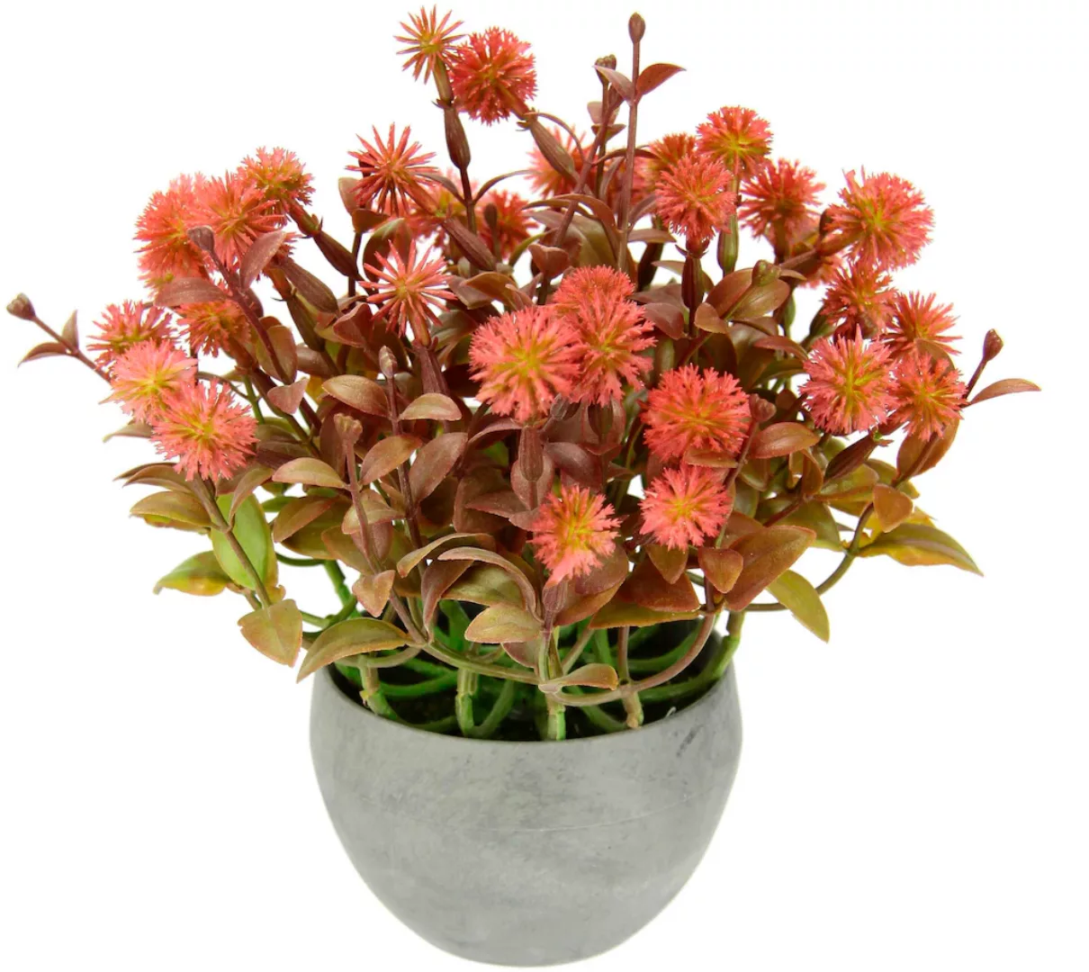 I.GE.A. Kunstpflanze "Margerite im Topf", Künstliche Blumen Blütenbusch Bus günstig online kaufen