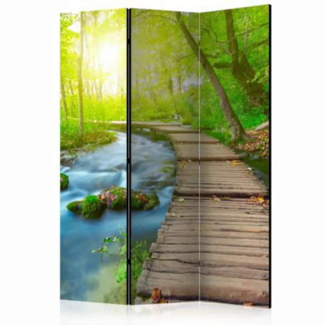 artgeist Paravent Green forest [Room Dividers] mehrfarbig Gr. 135 x 172 günstig online kaufen