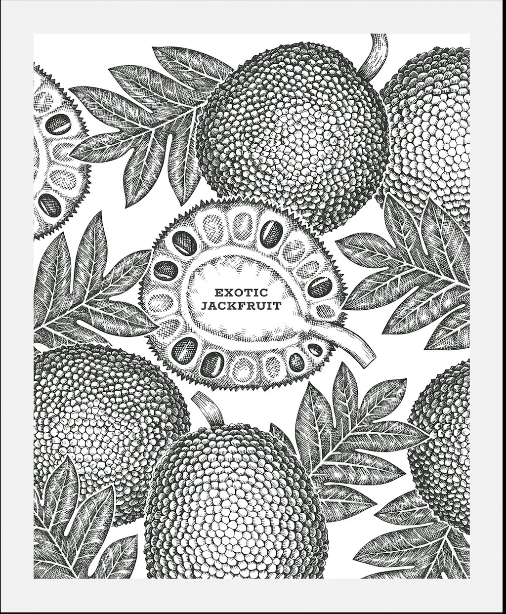 queence Bild »Exotic Jackfruit«, (1 St.), gerahmt günstig online kaufen