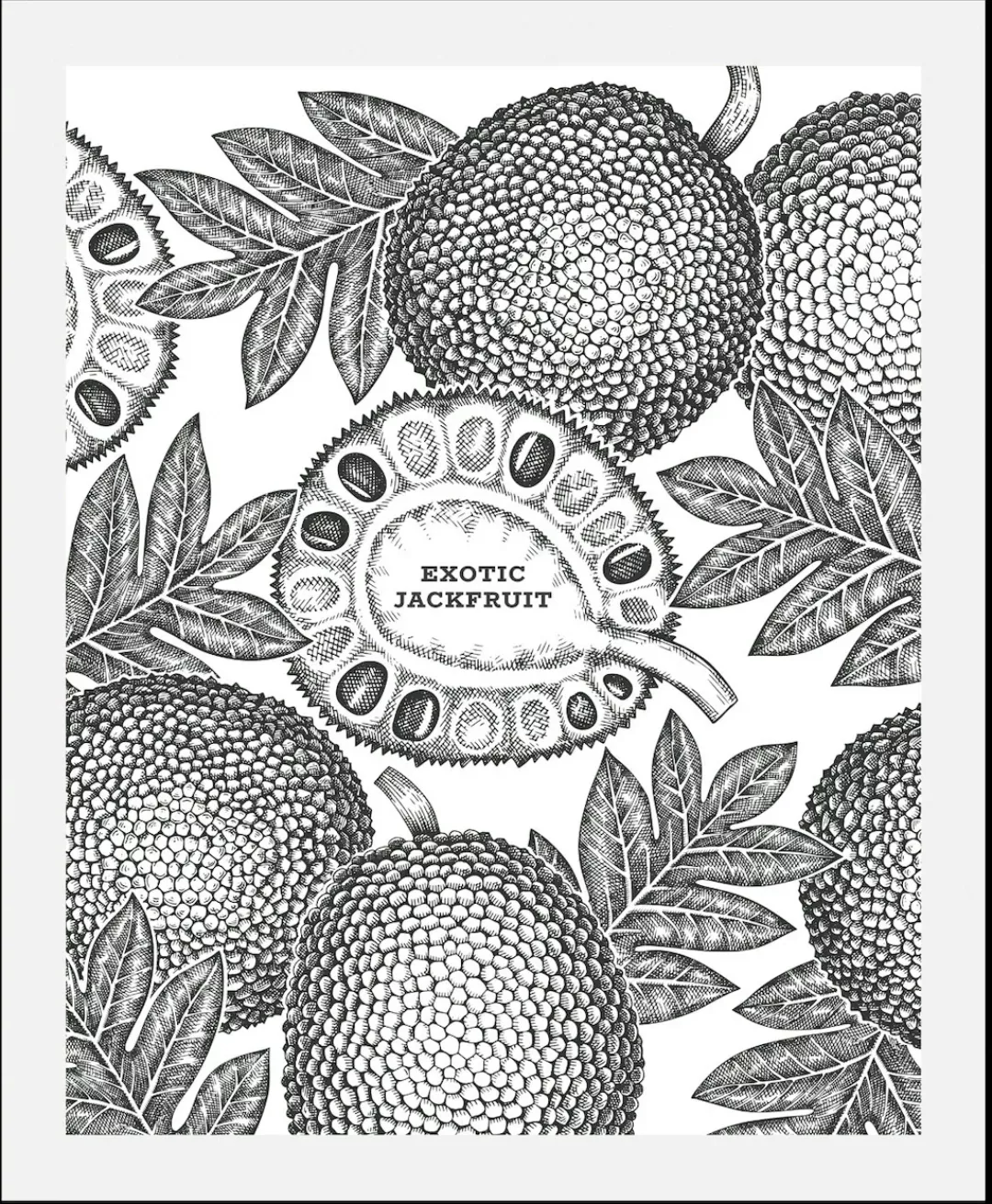 queence Bild "Exotic Jackfruit", (1 St.), gerahmt günstig online kaufen